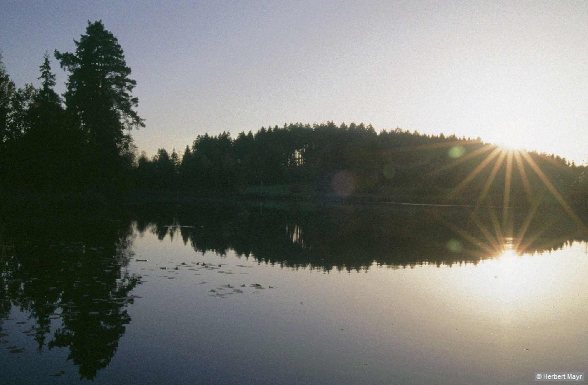 Der Wegweiser Rhein leitet links auf einen unbeschilderten Waldweg zum idyllischen, überwiegend von Wald umgebenen Badeziel Blauer See.