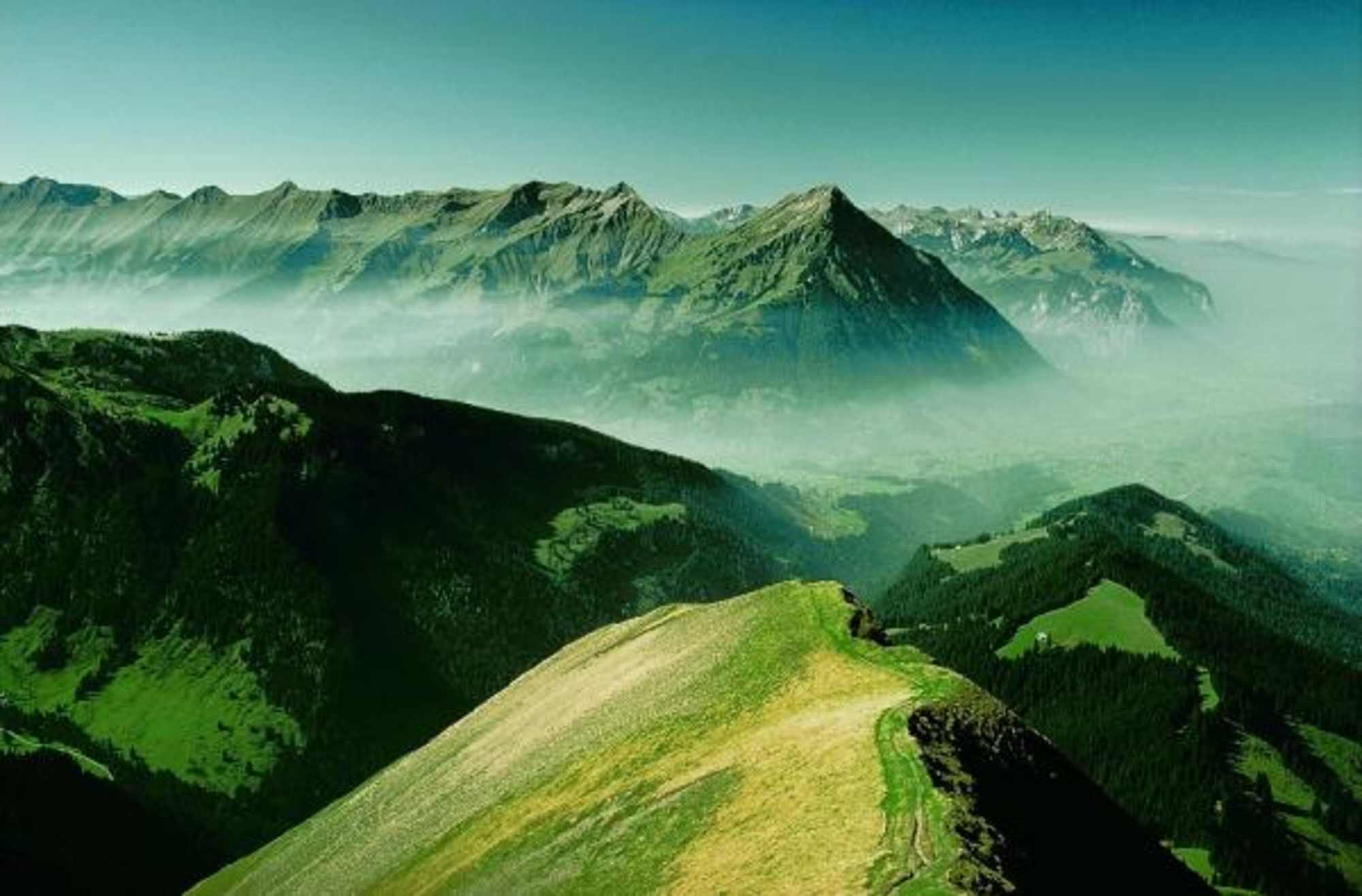 Das Morgenberghorn