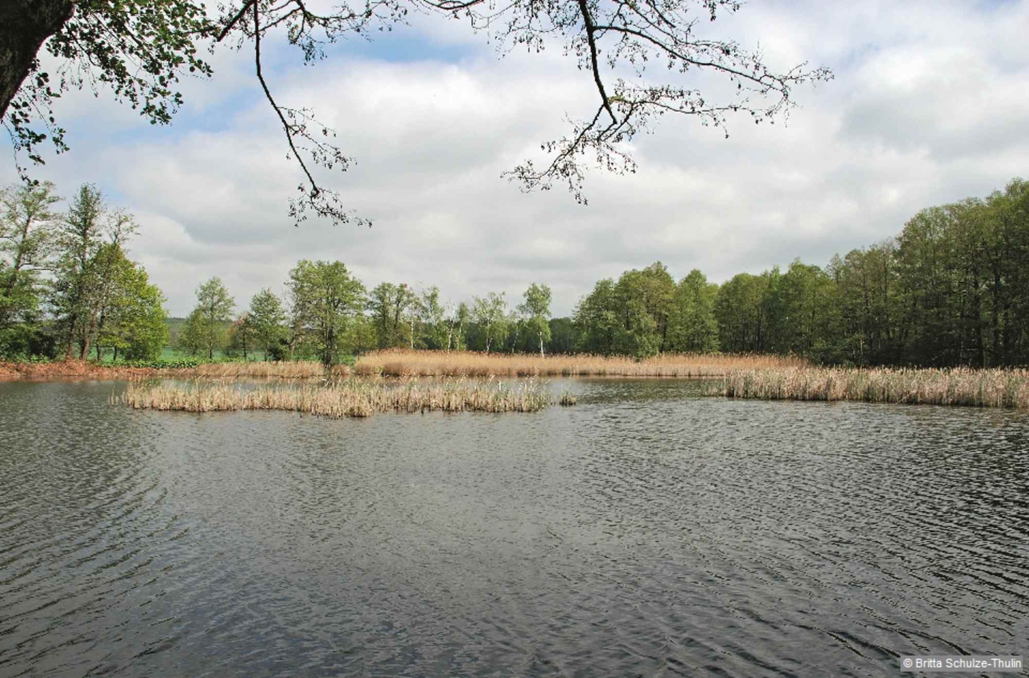Am Holzteich geht es wieder in den Wald.