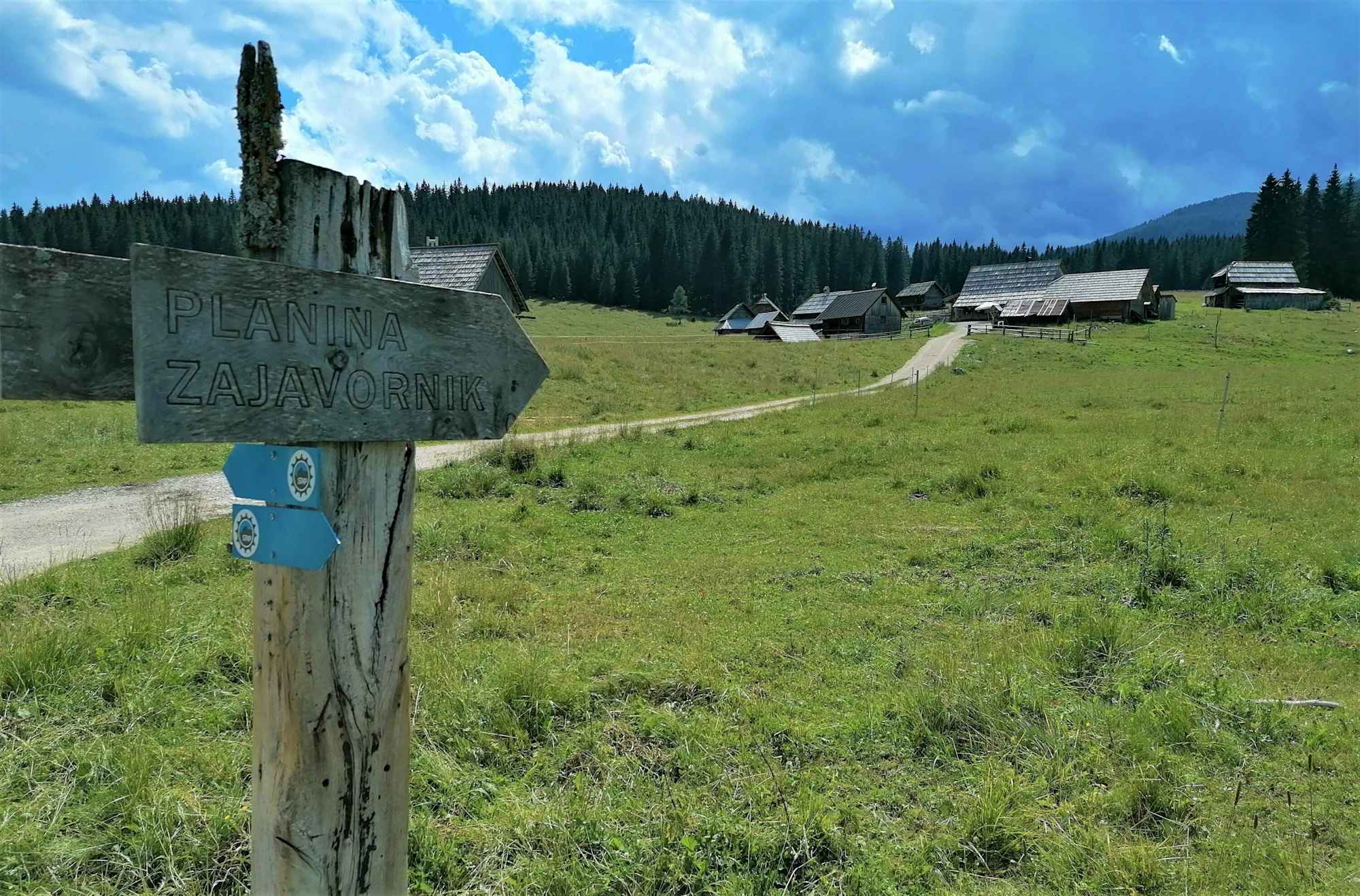 inmitten der Pokljuka - die Planina Javornik, hier im Rückblick – Nordostansicht