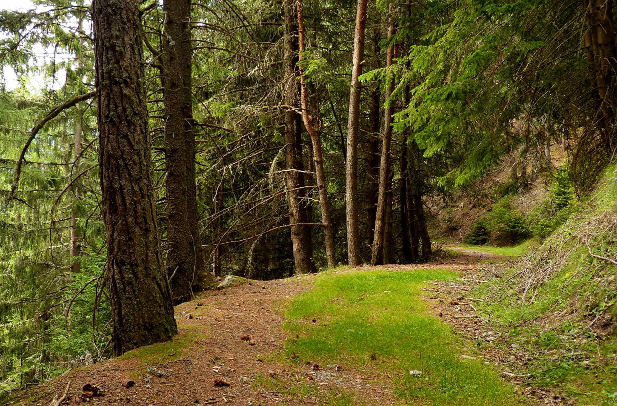 Vingscher Höhenweg - Etappe 3