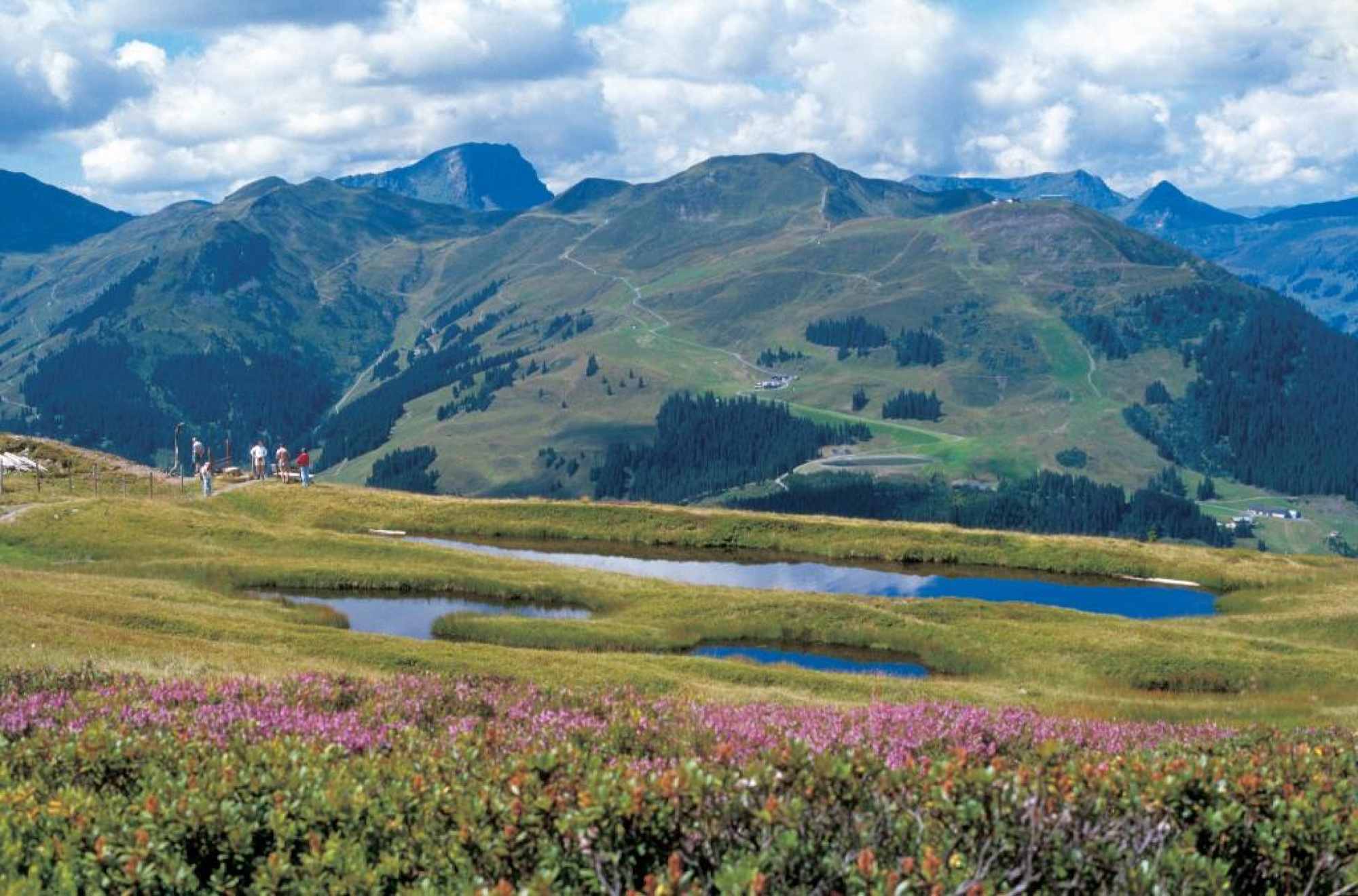Schattberg Höhenweg mit Blick zum Geißstein