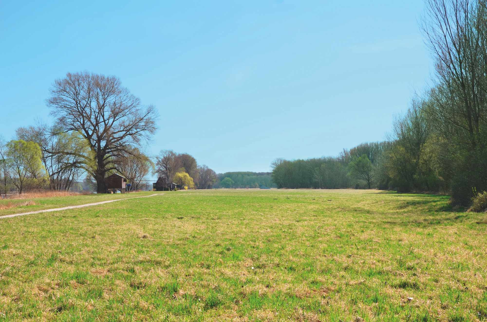 Weitläufige Wiesen und Wälder sind für Hasen und Fasane ideal.