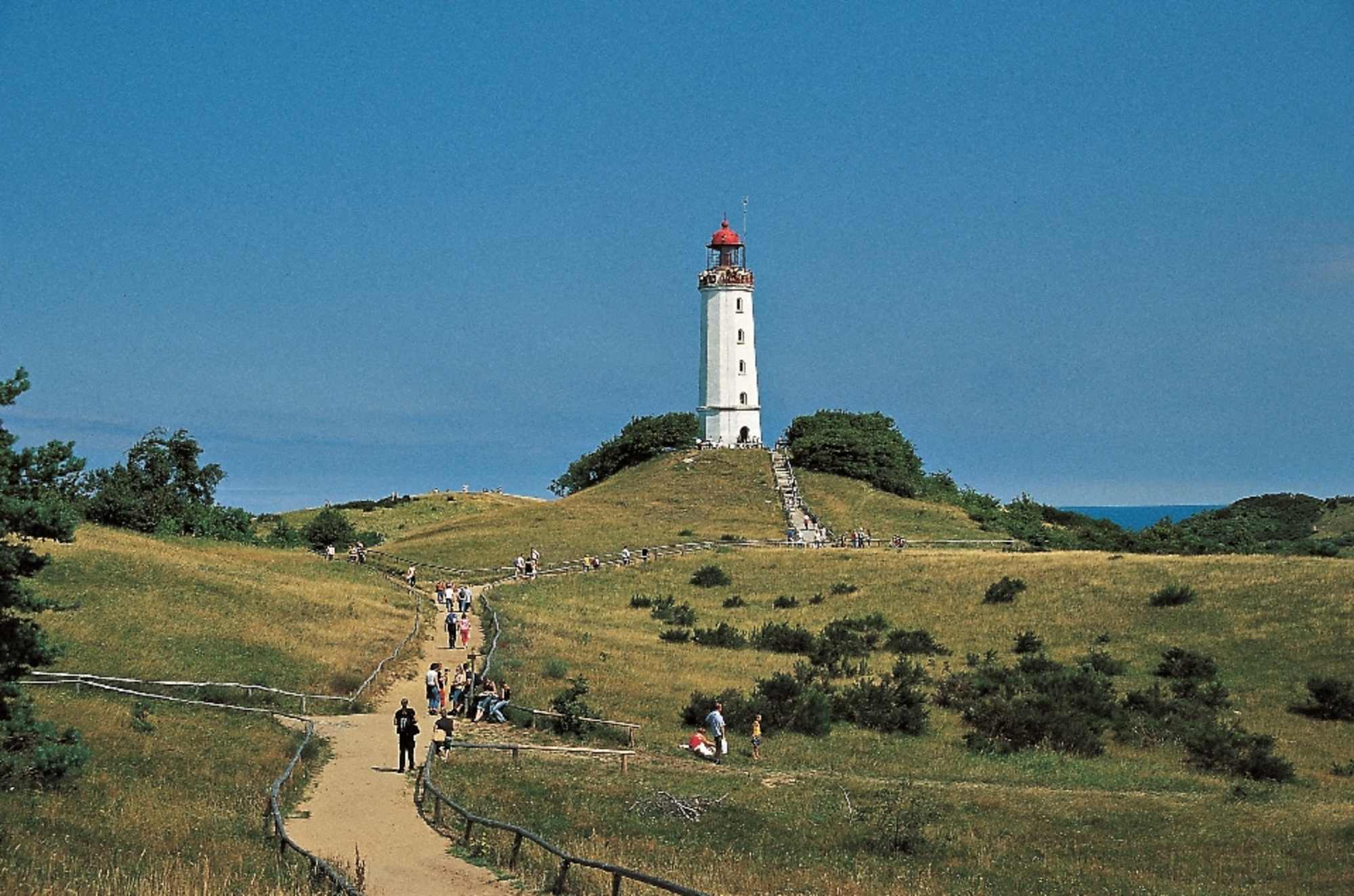 Dornbusch