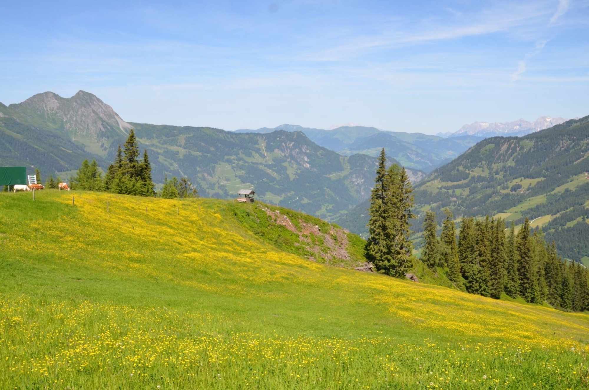Mühlwinkel Steig
