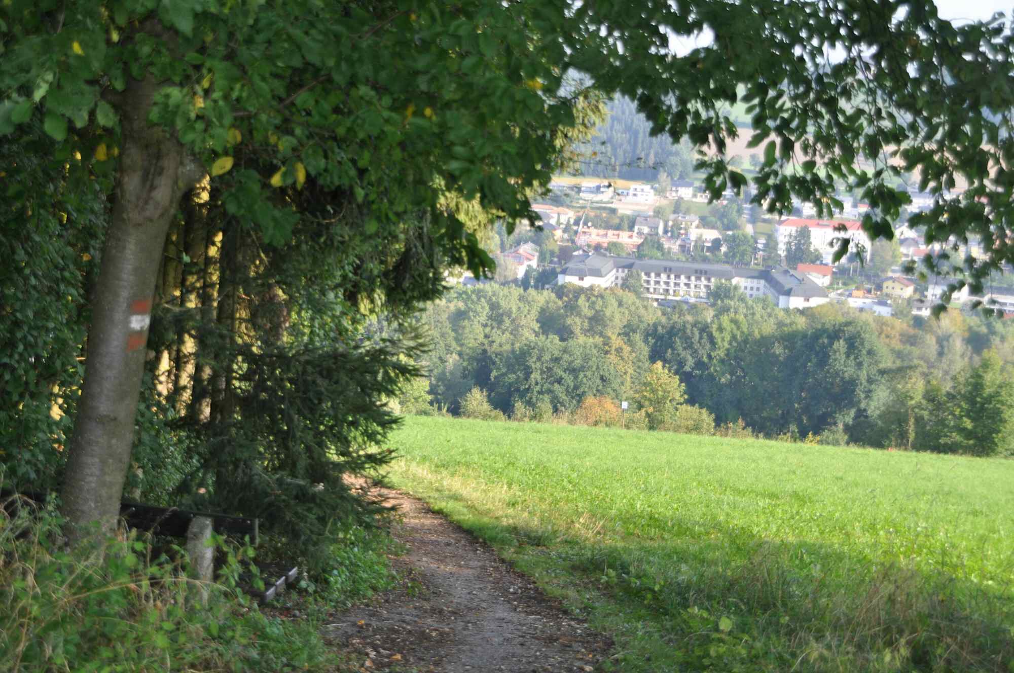 Muellerberg-Runde