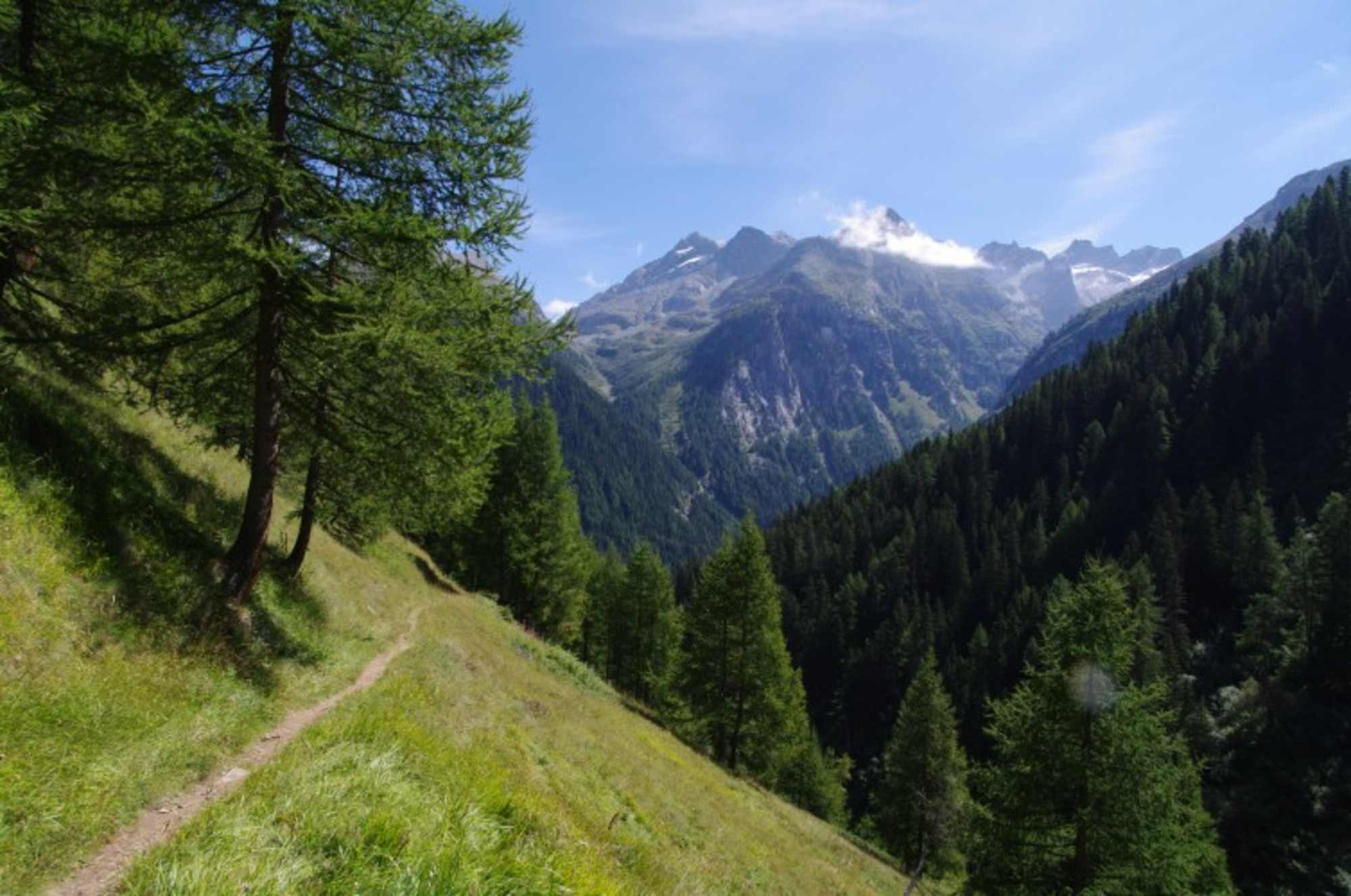 Aussichtsreicher Weg