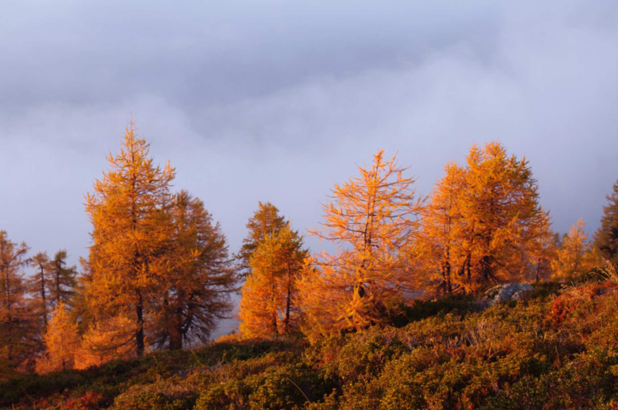 Herbststimmung