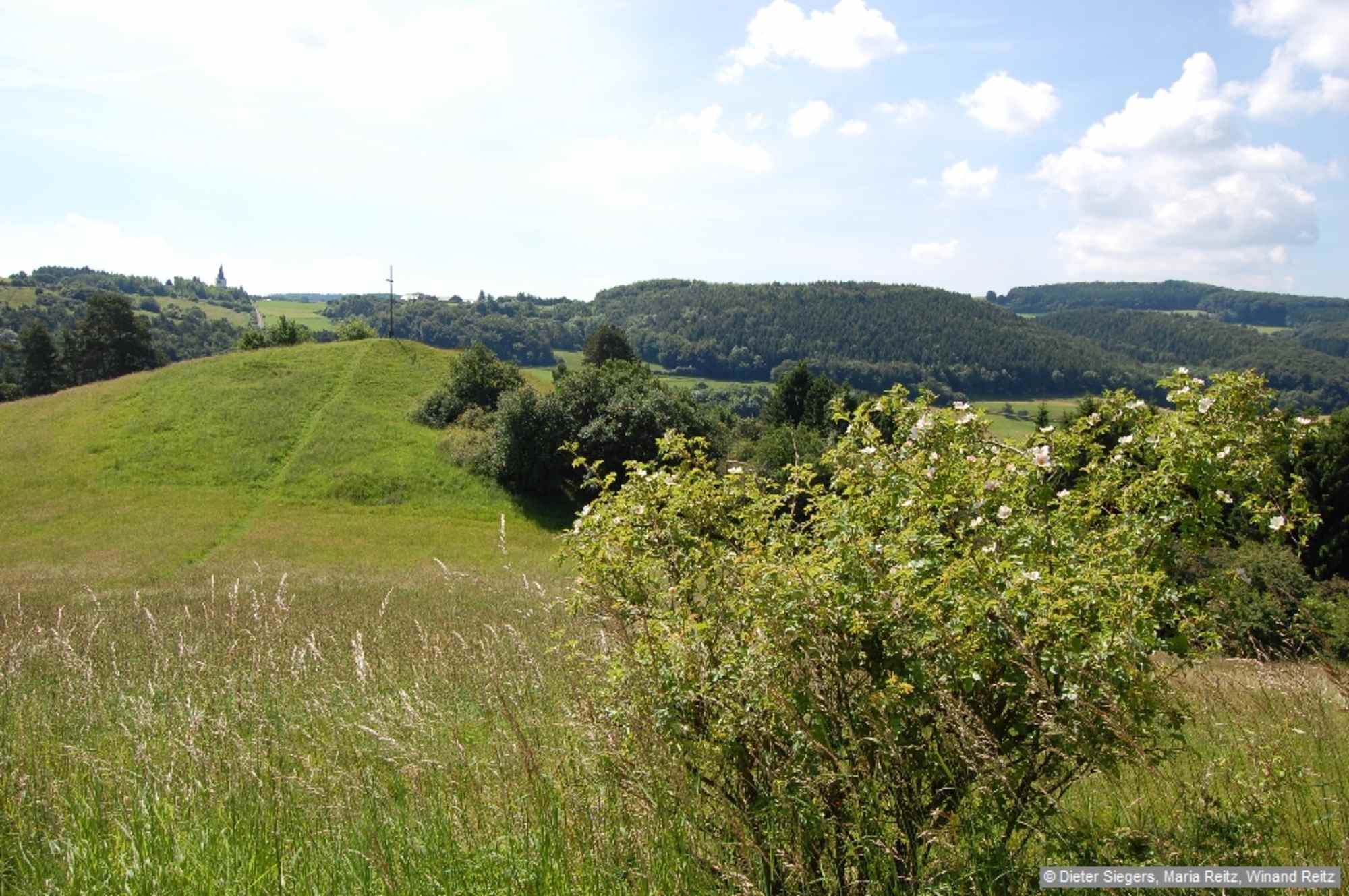 Wir durchqueren die Kakushöhle, kommen zum schön gelegenen Ort Vollem und gelangen zum Eulenberg mit seinem grandiosen Panorama.