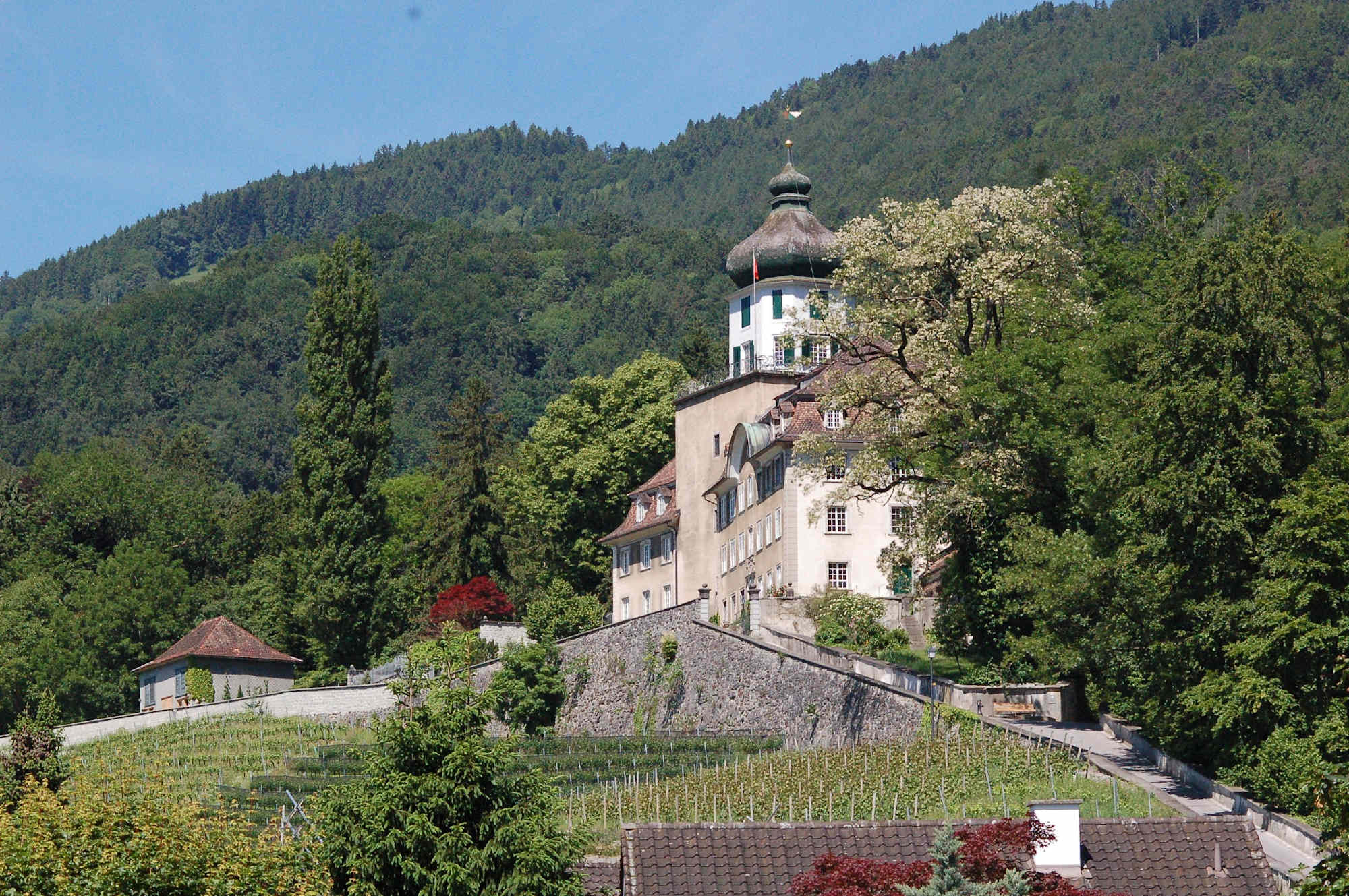 Schloss Grünenstein
