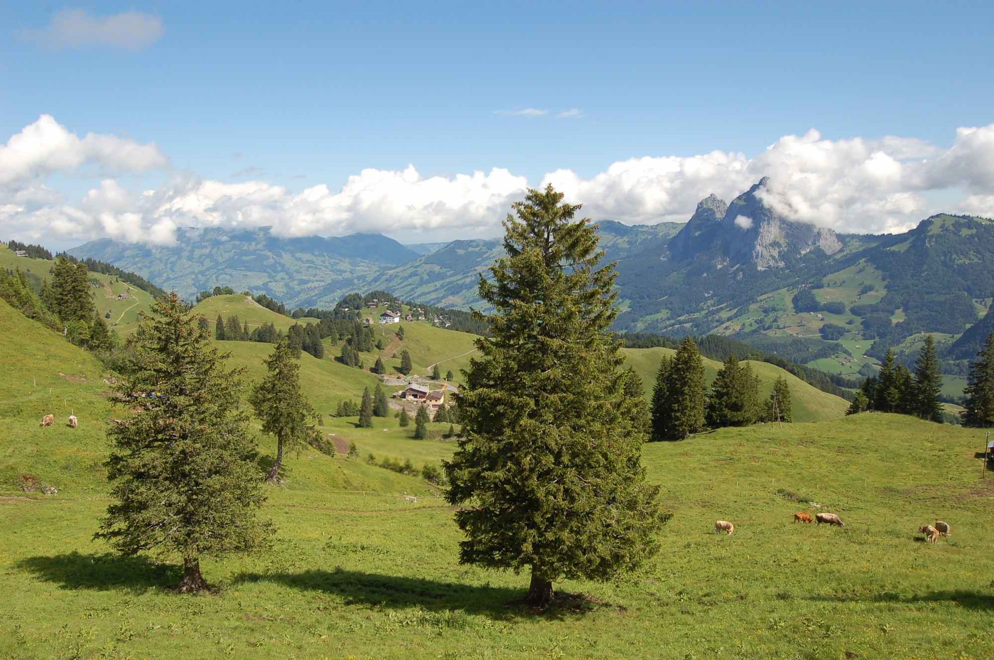 Schöne Landschaften