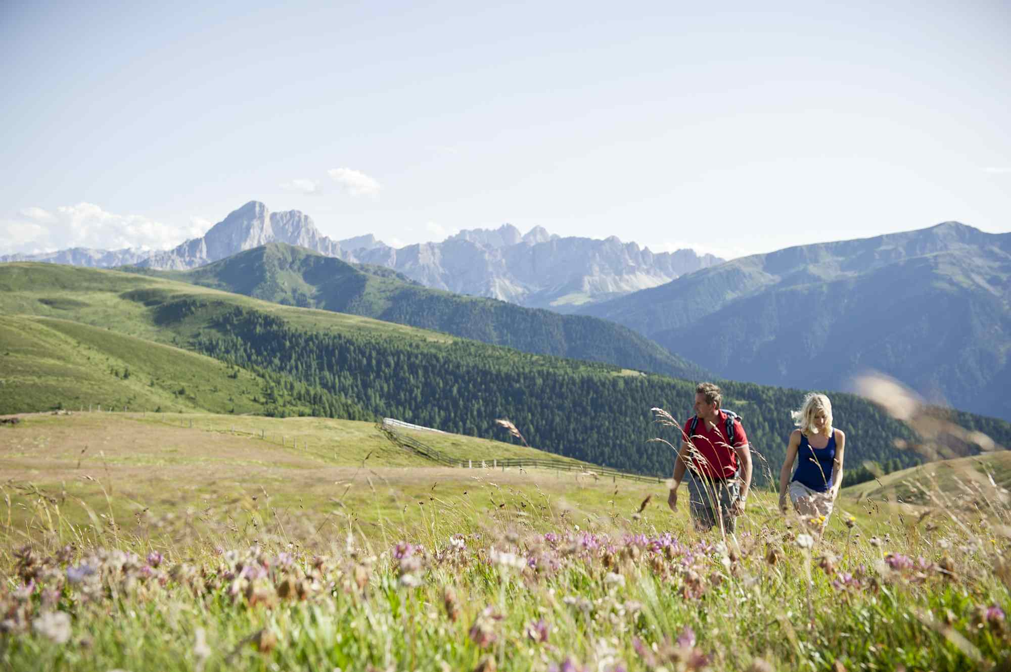 Naturhotel Lüsnerhof
