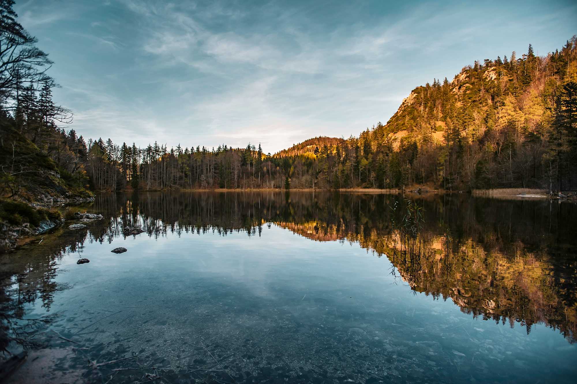 Der Eibensee