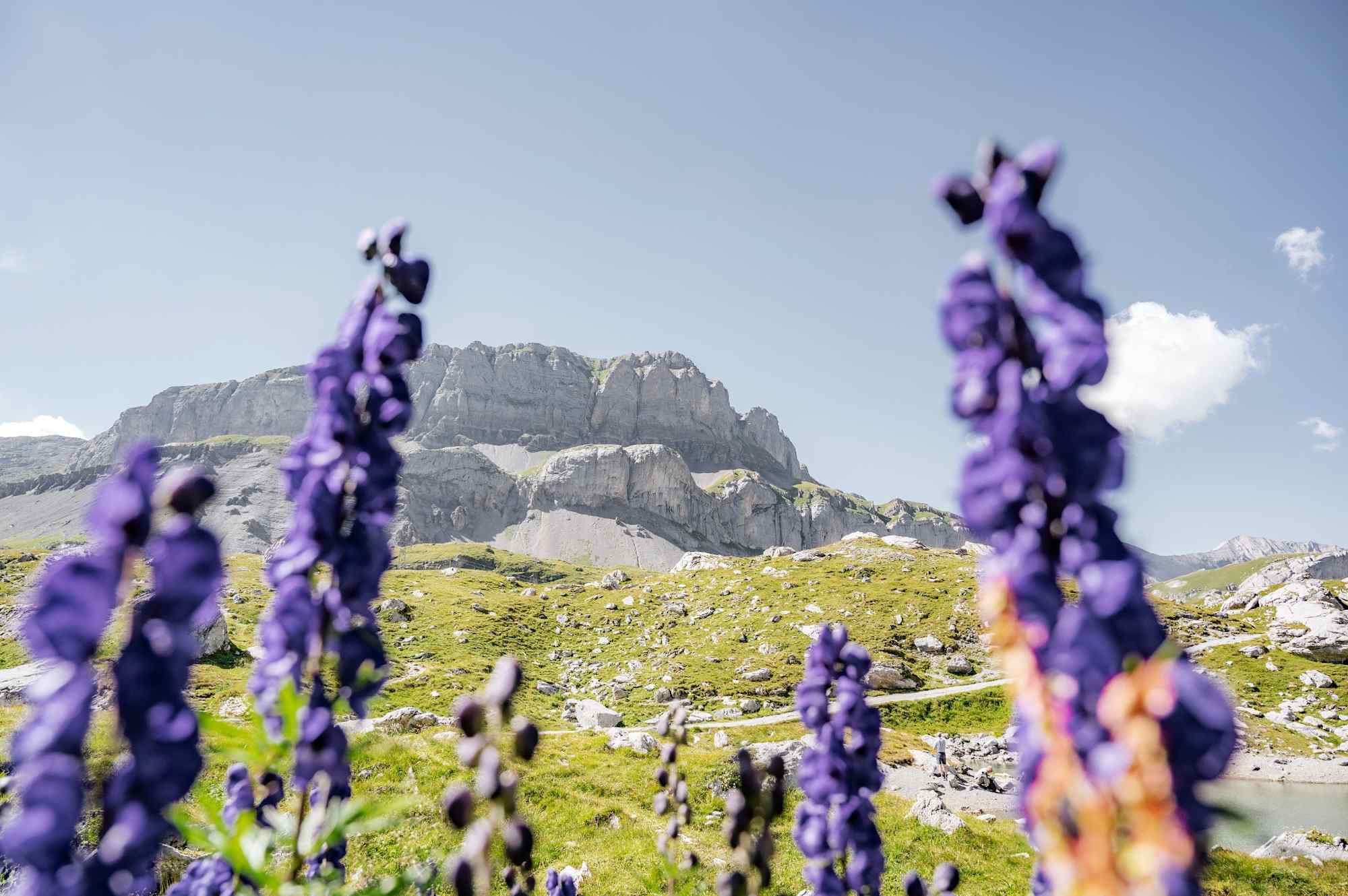 Ausblick auf dem Feslhorn