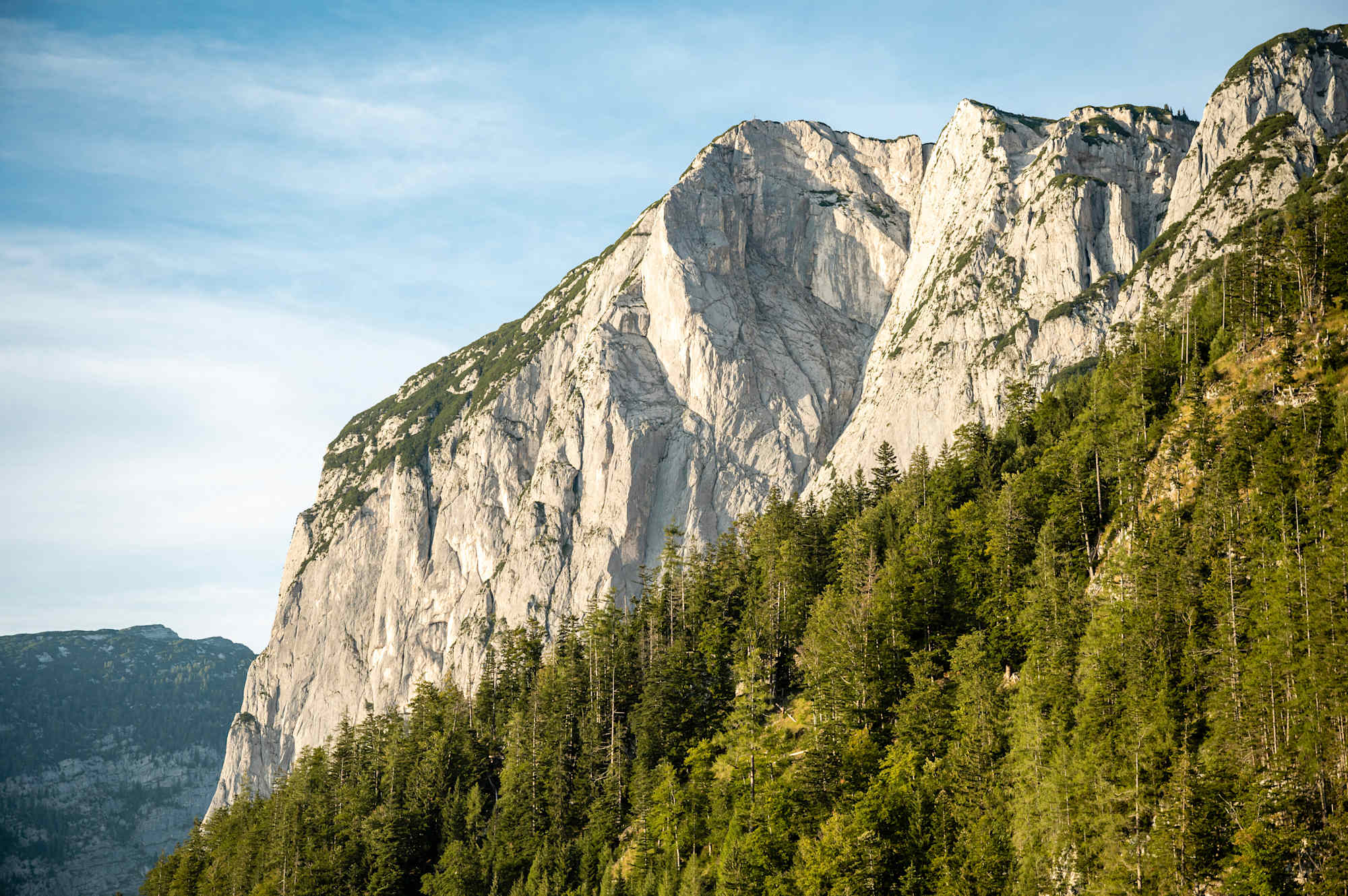 Trisselwand