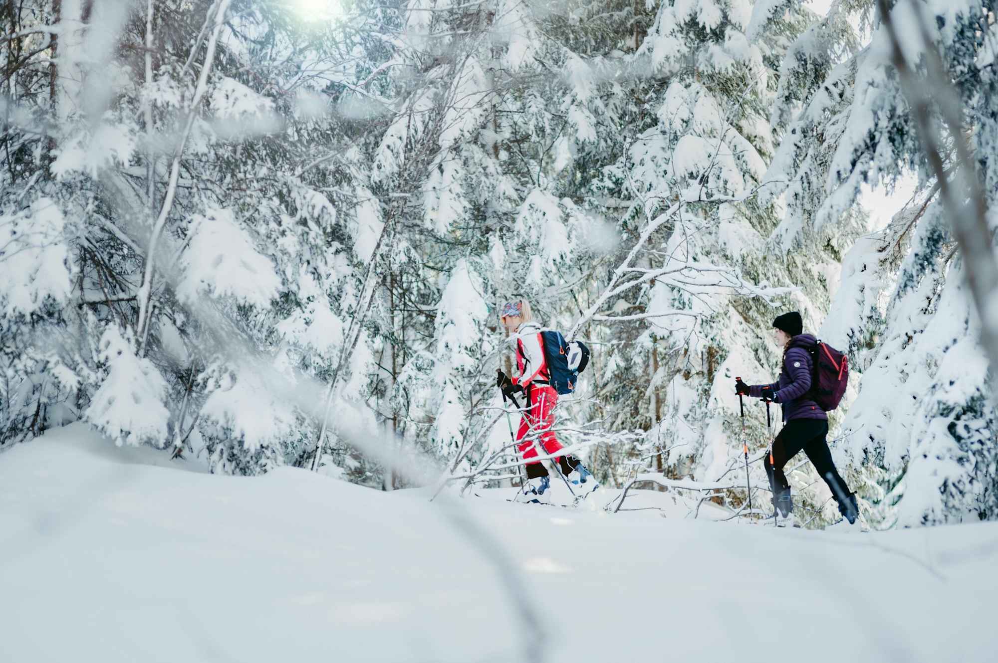 Skitour Schwaigalm bei Filzmoos