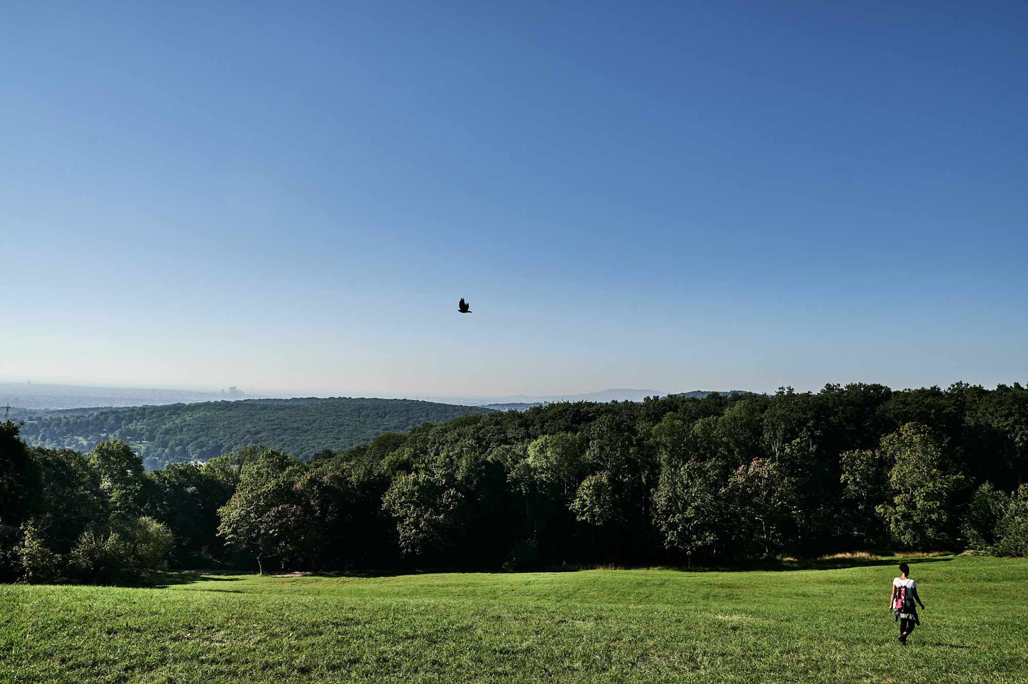 Die Wanderung zum Hermannskogel wird mit einer schönen Aussicht auf Wien belohnt.