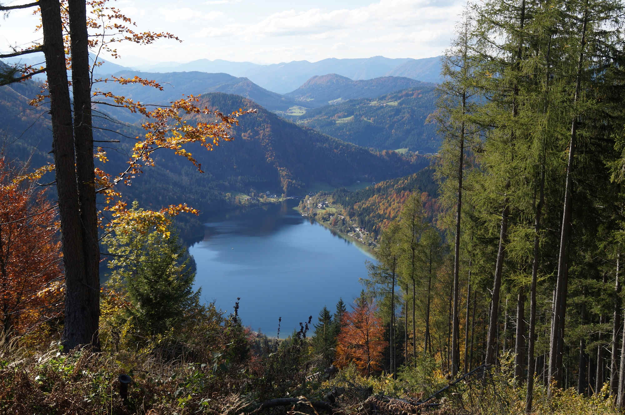 Blick auf den Lunzer See