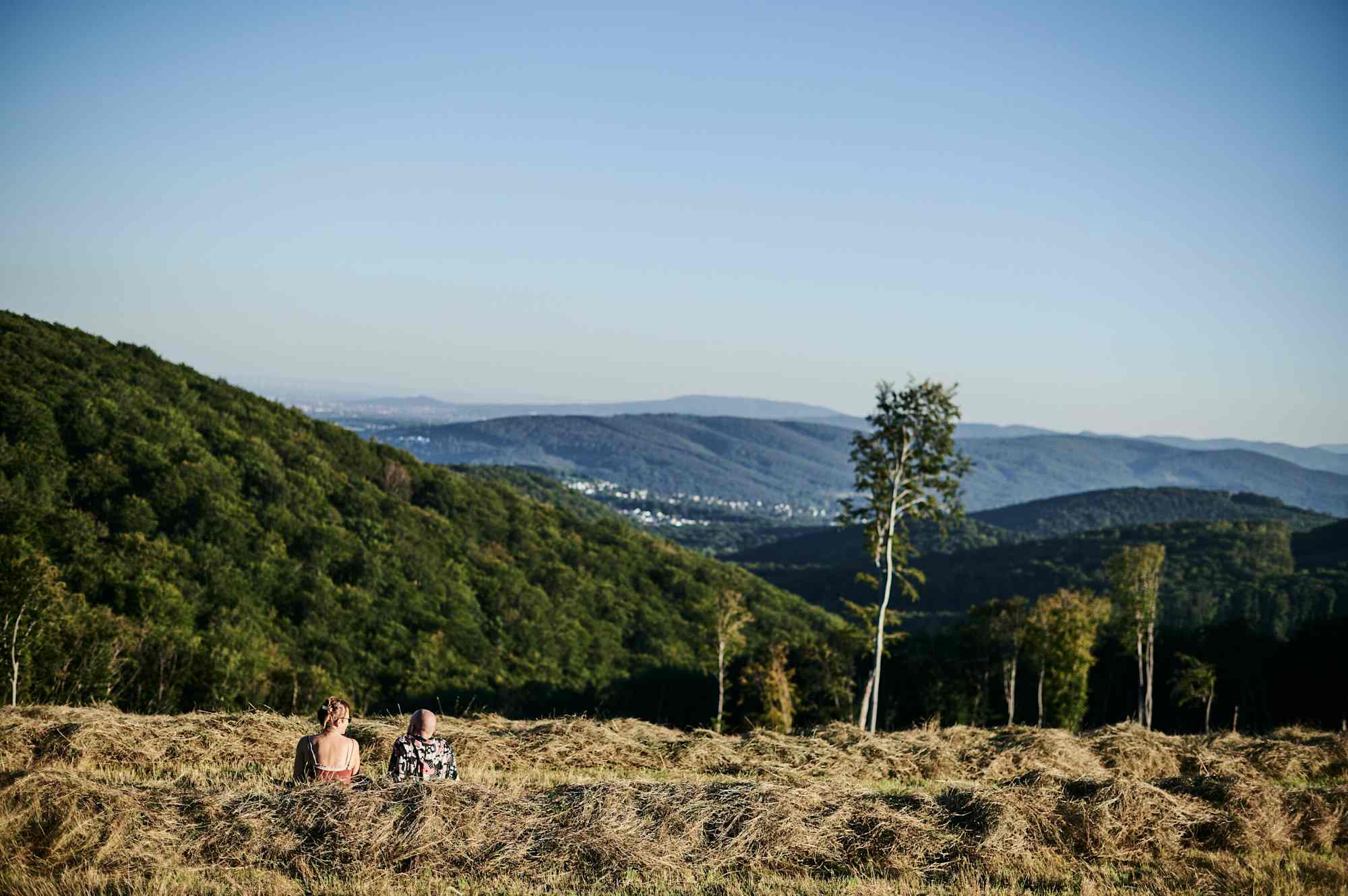 Schöne Aussicht von der Sophienalpe
