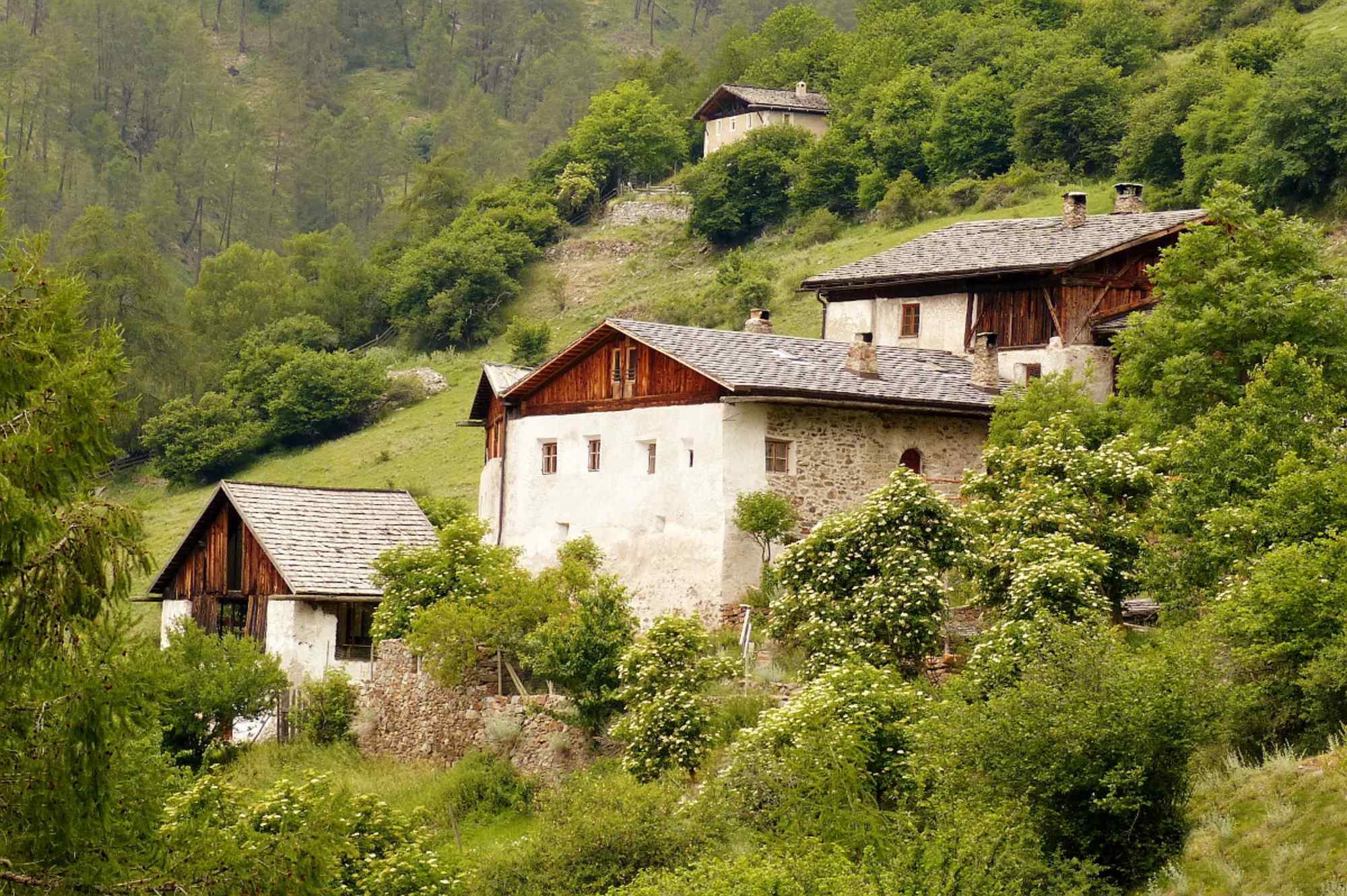 Vinschger Höhenweg- Rimpfhöfe
