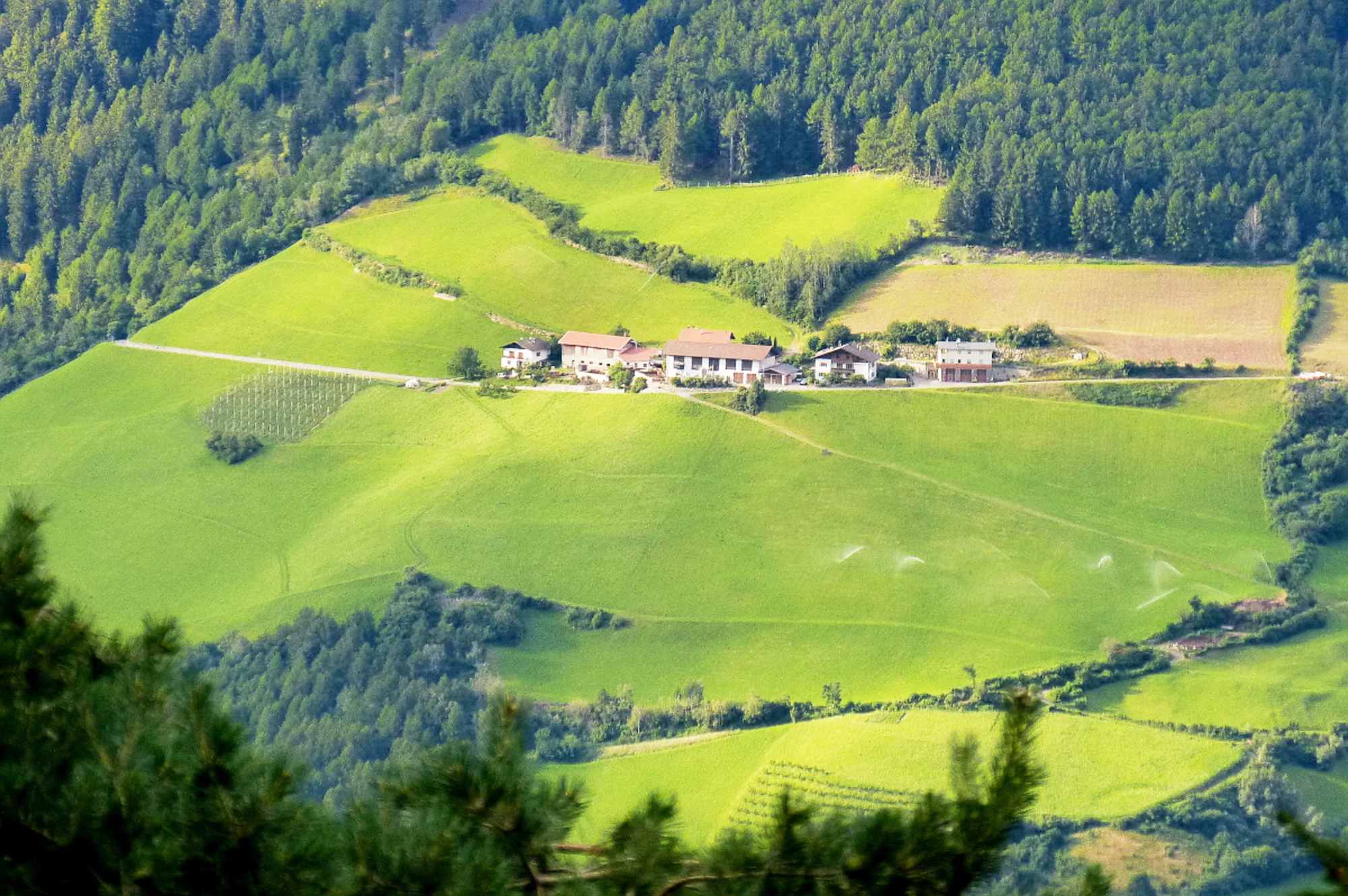 Vingscher Höhenweg - Etappe 3