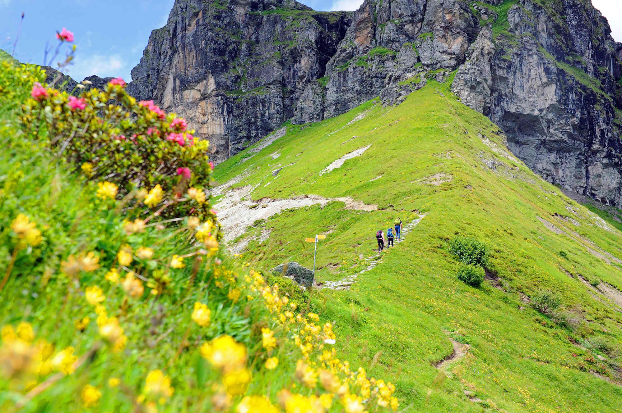 Wandern auf Mettmen