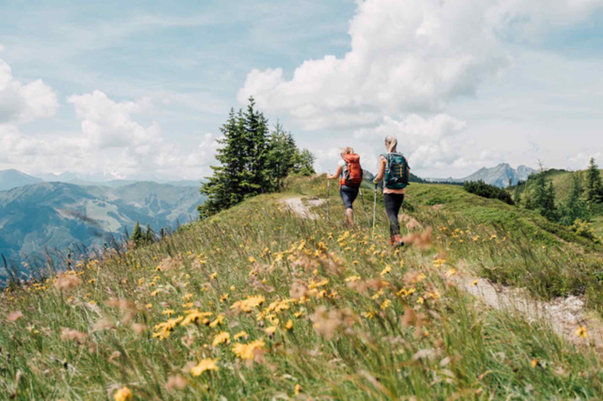 Unterwegs am Salzburger Almenweg