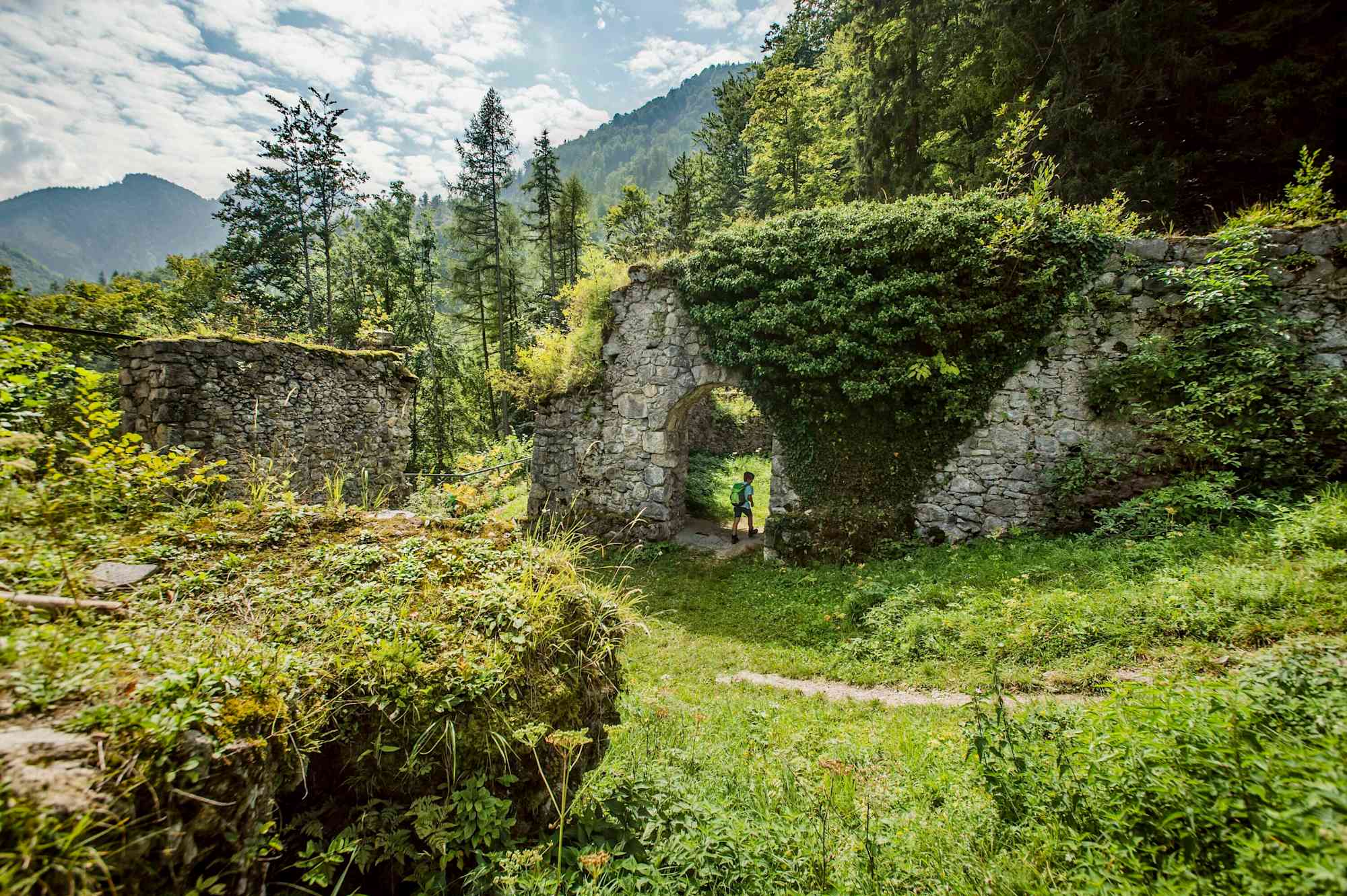 Die Ruine Scharnstein