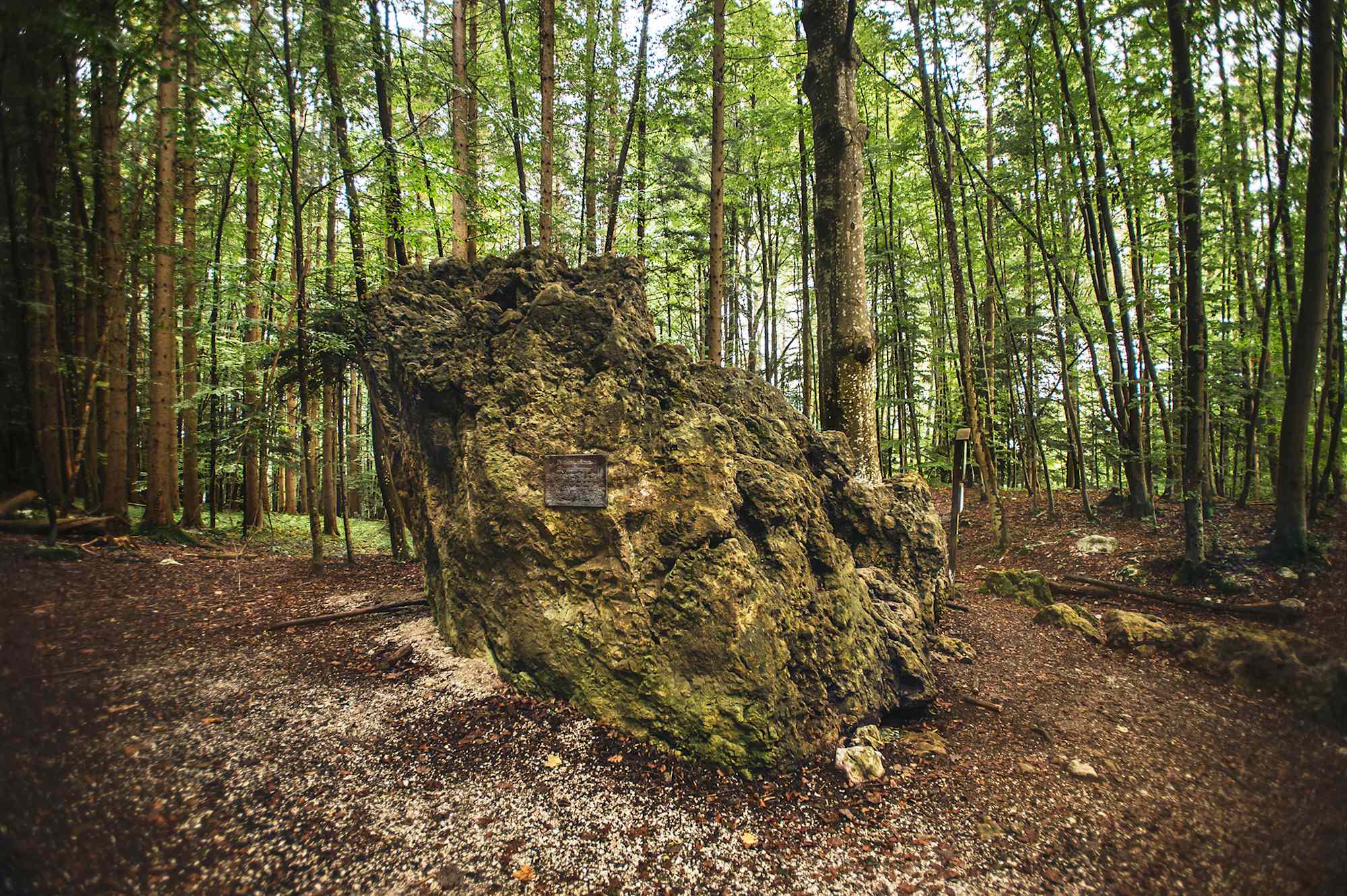 Am Siriuskogel