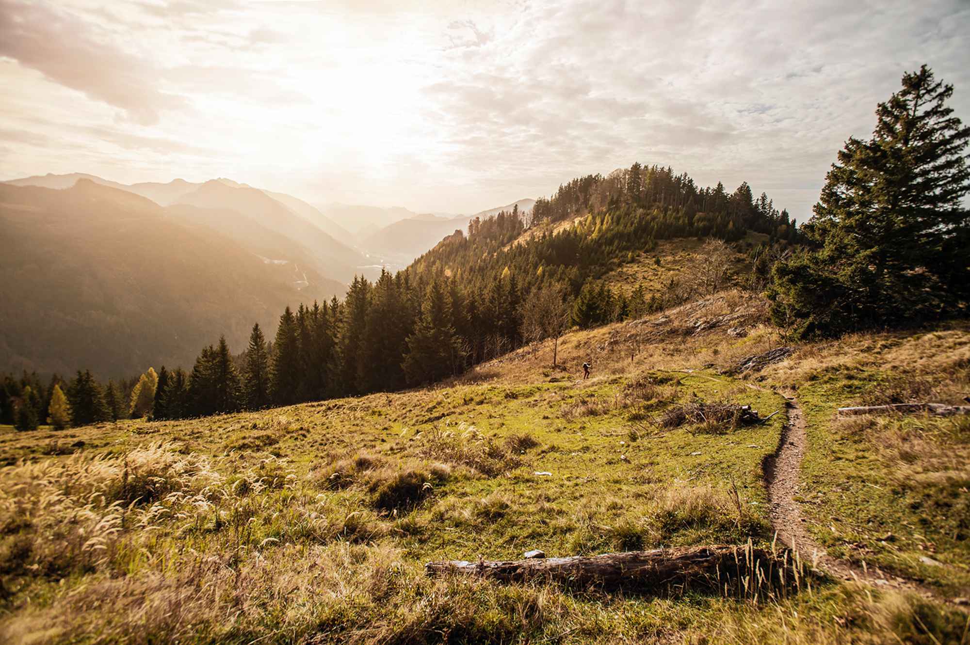 Erlakogel und Spitzensteinalm