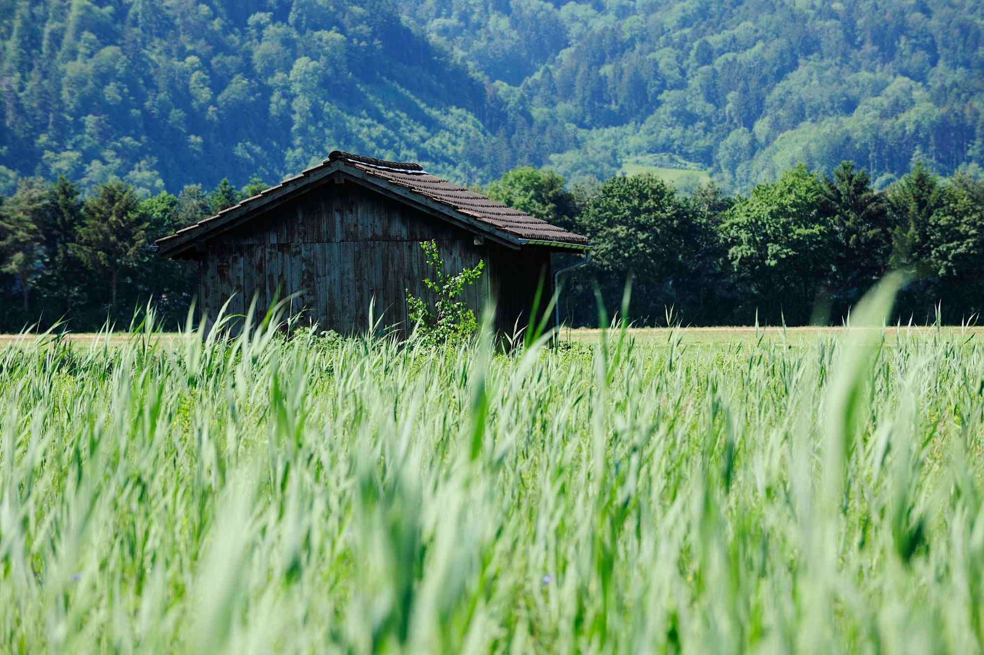 Route 66 - Hütte im Ruggeller Riet