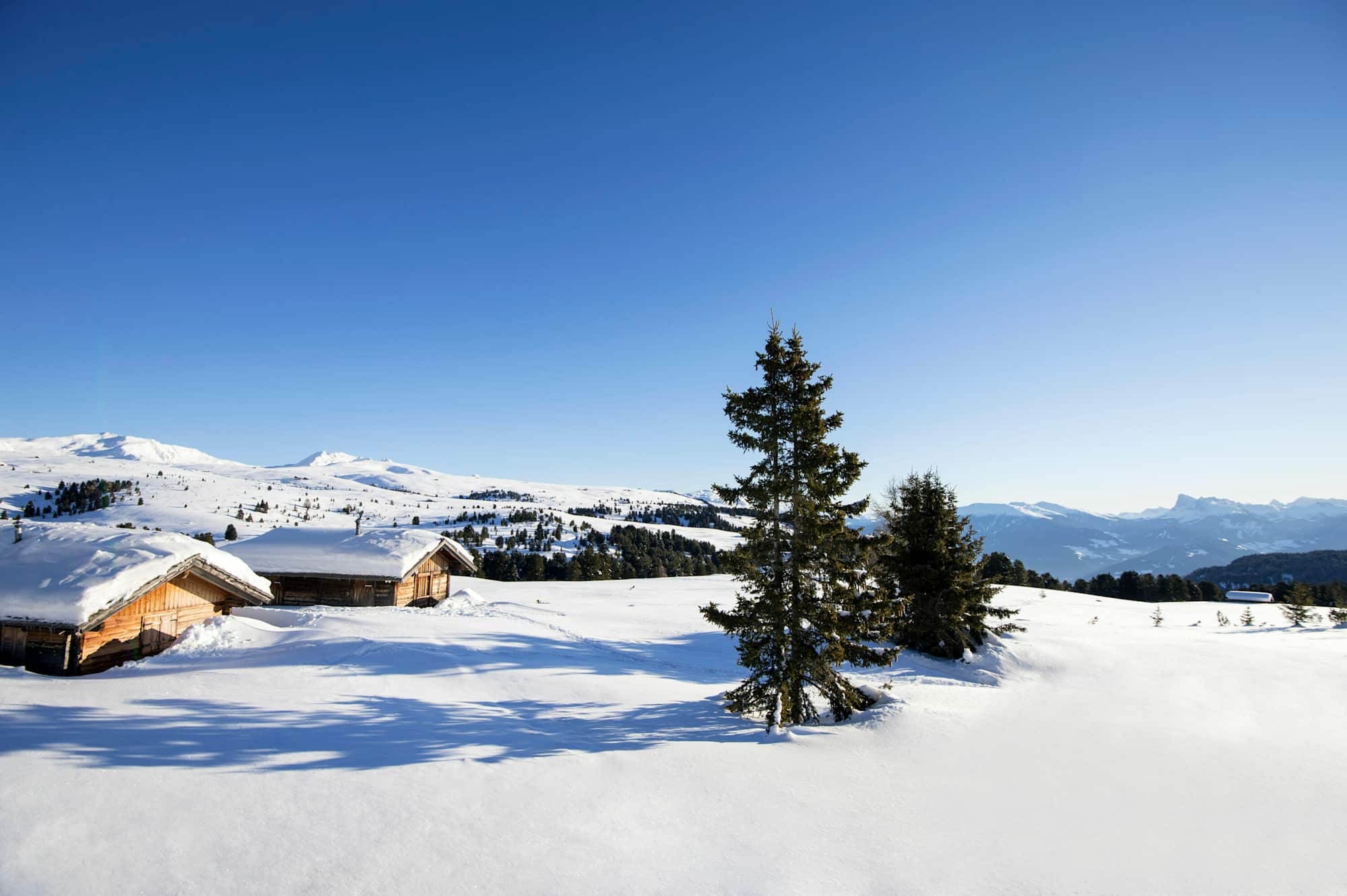 Winterwanderung zur Villanderer Alm