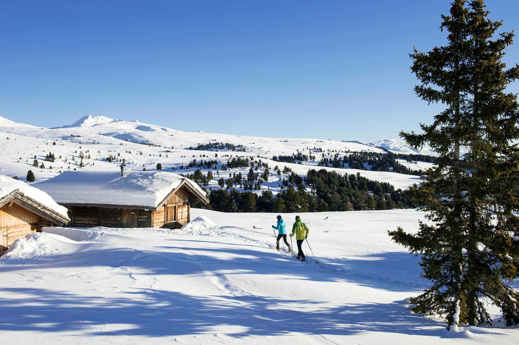 Wanderung zur Villanderer Alm