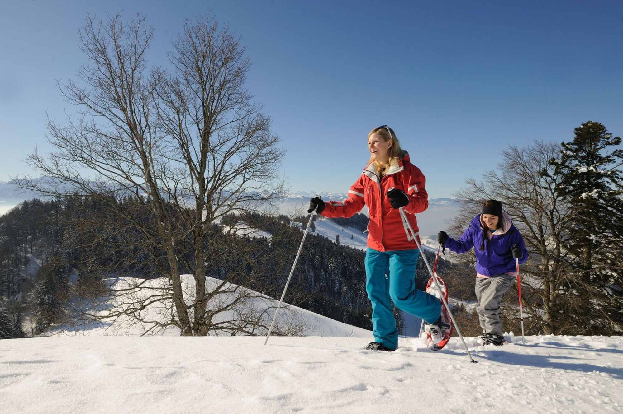 Altschwand Trail