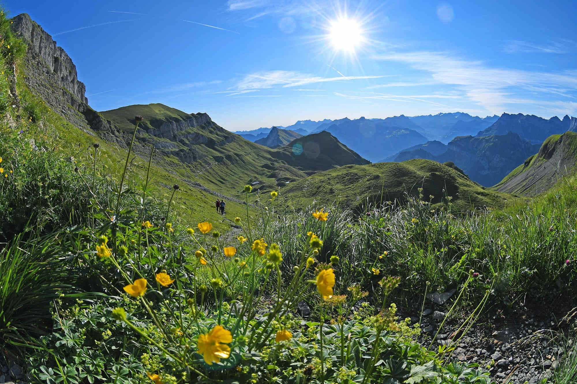Alpenwanderung
