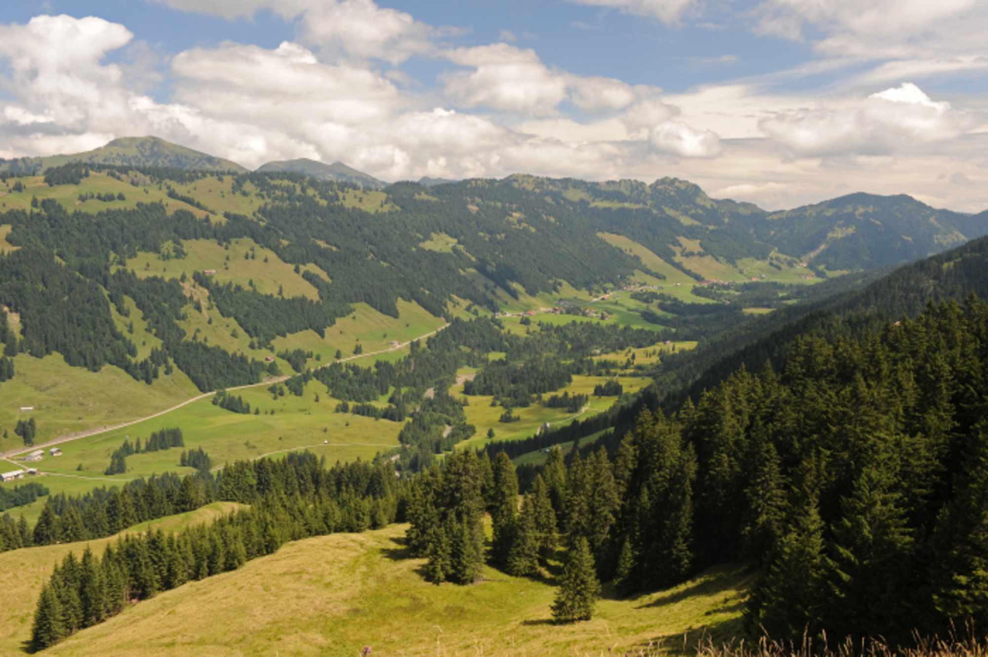 Wunderbare Aussicht