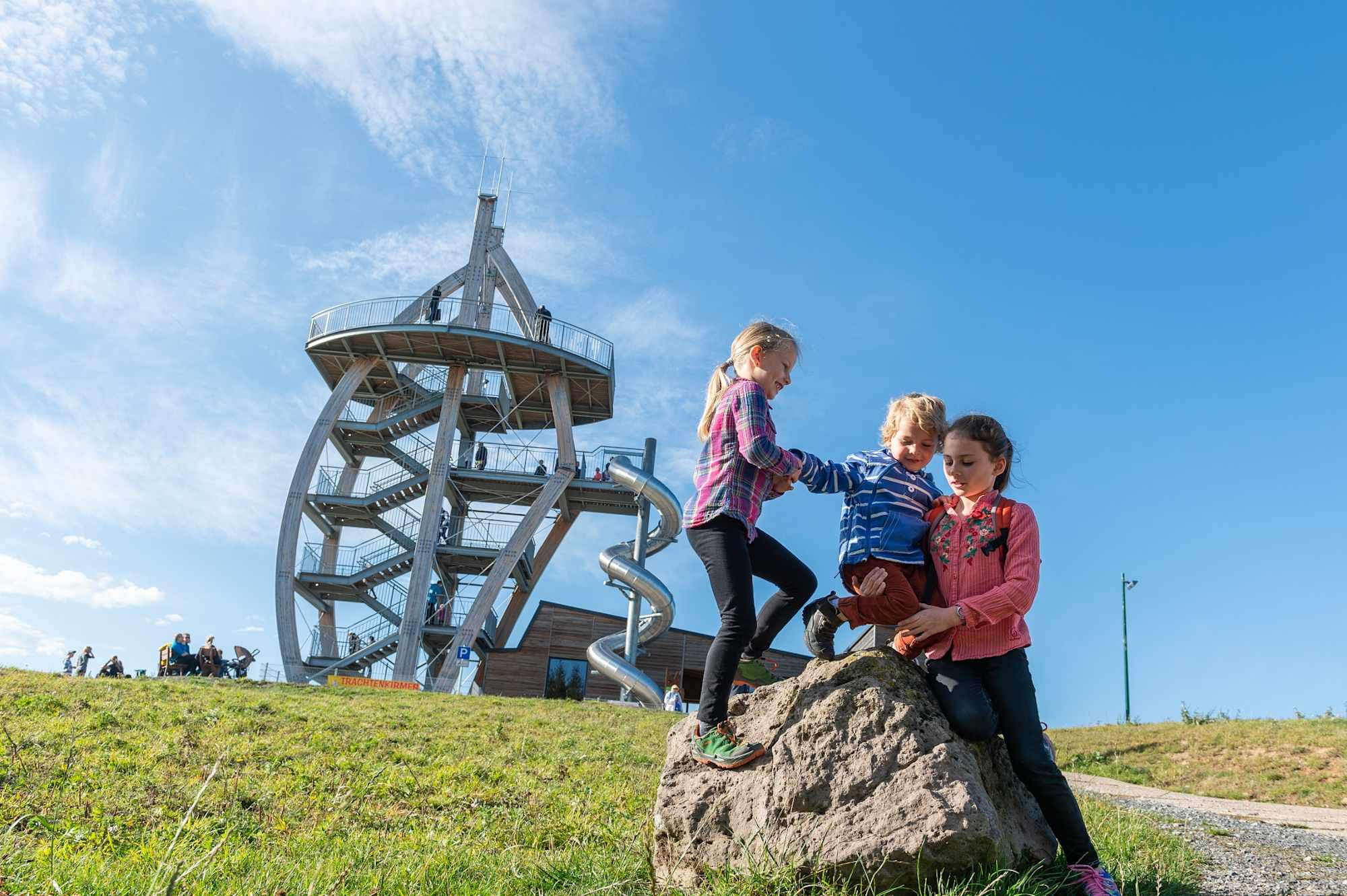 Noahs Segel auf dem Ellenbogen