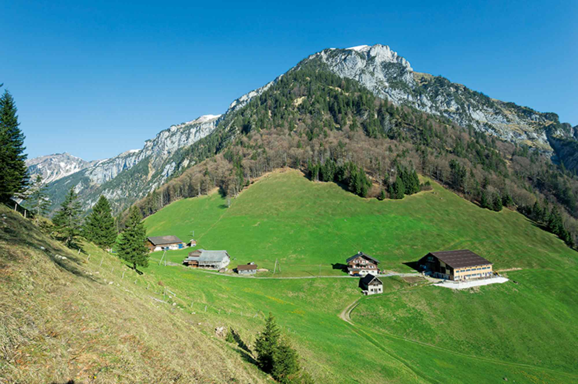 Vielleicht der schönste Bergbauernbetrieb in den Urner Alpen: Furggelen