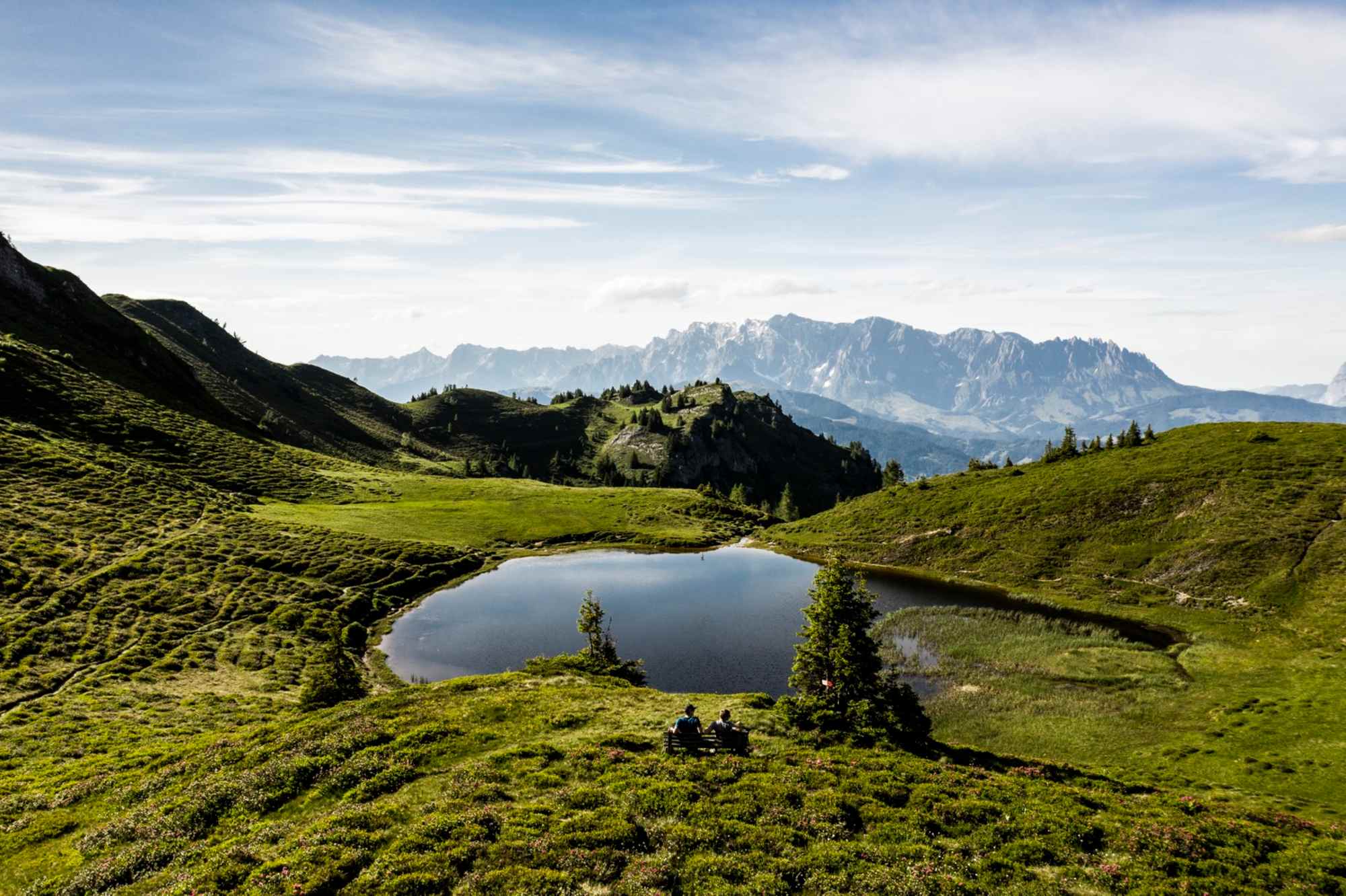 Paarseen