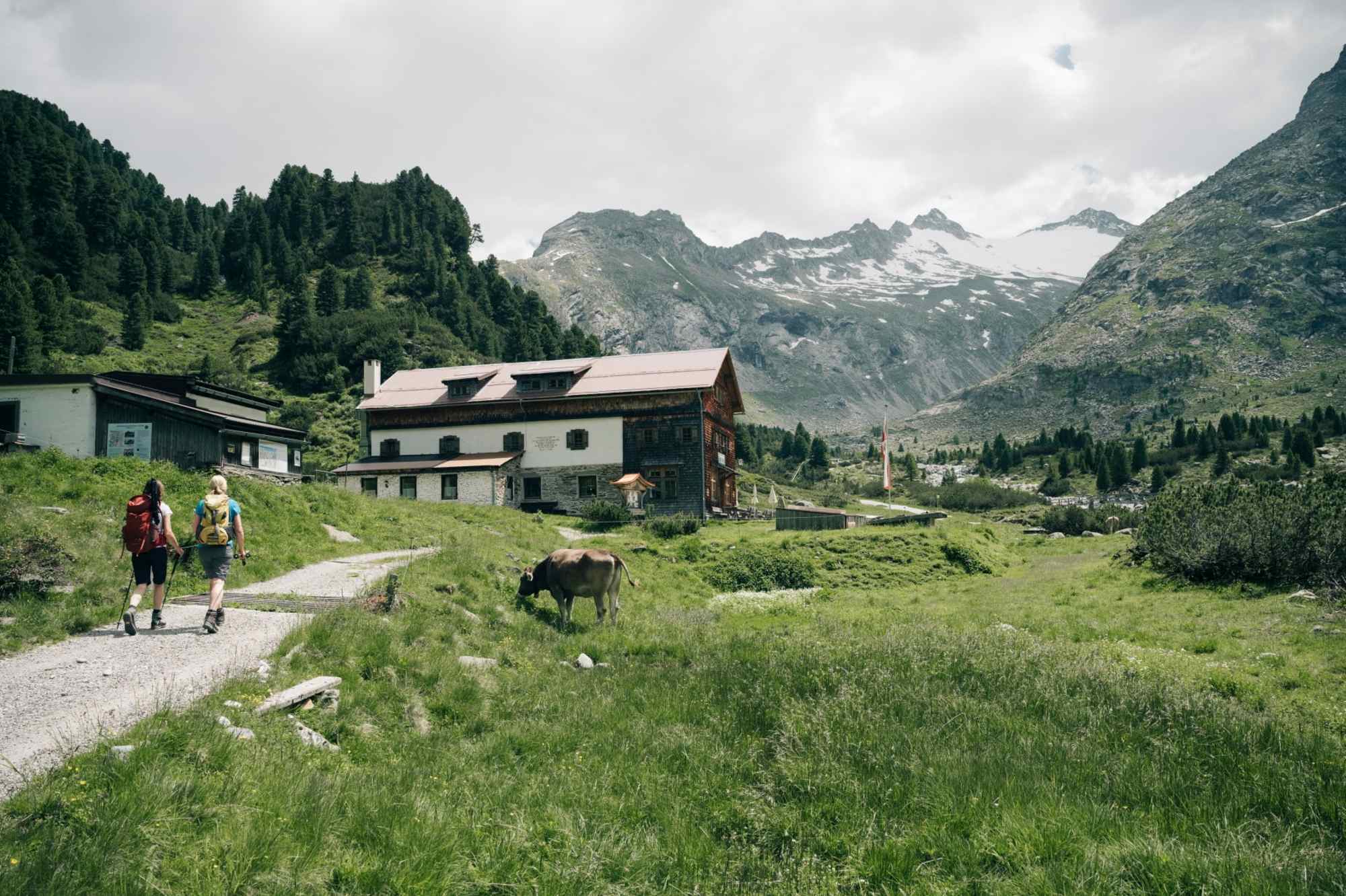 Die Alpenrosenhütte Zillertal mit Hornspitze. 