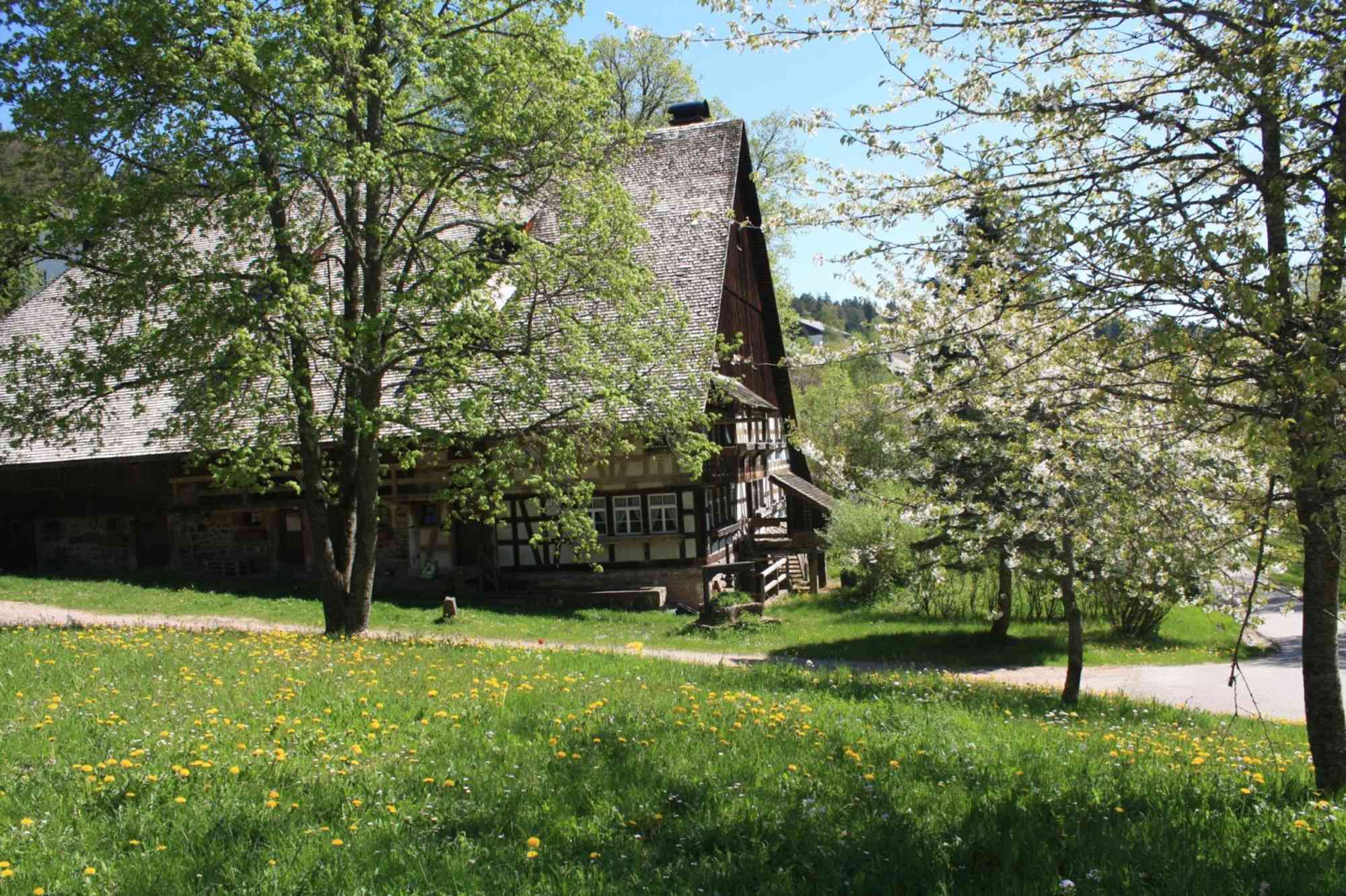 Auerhahnweg