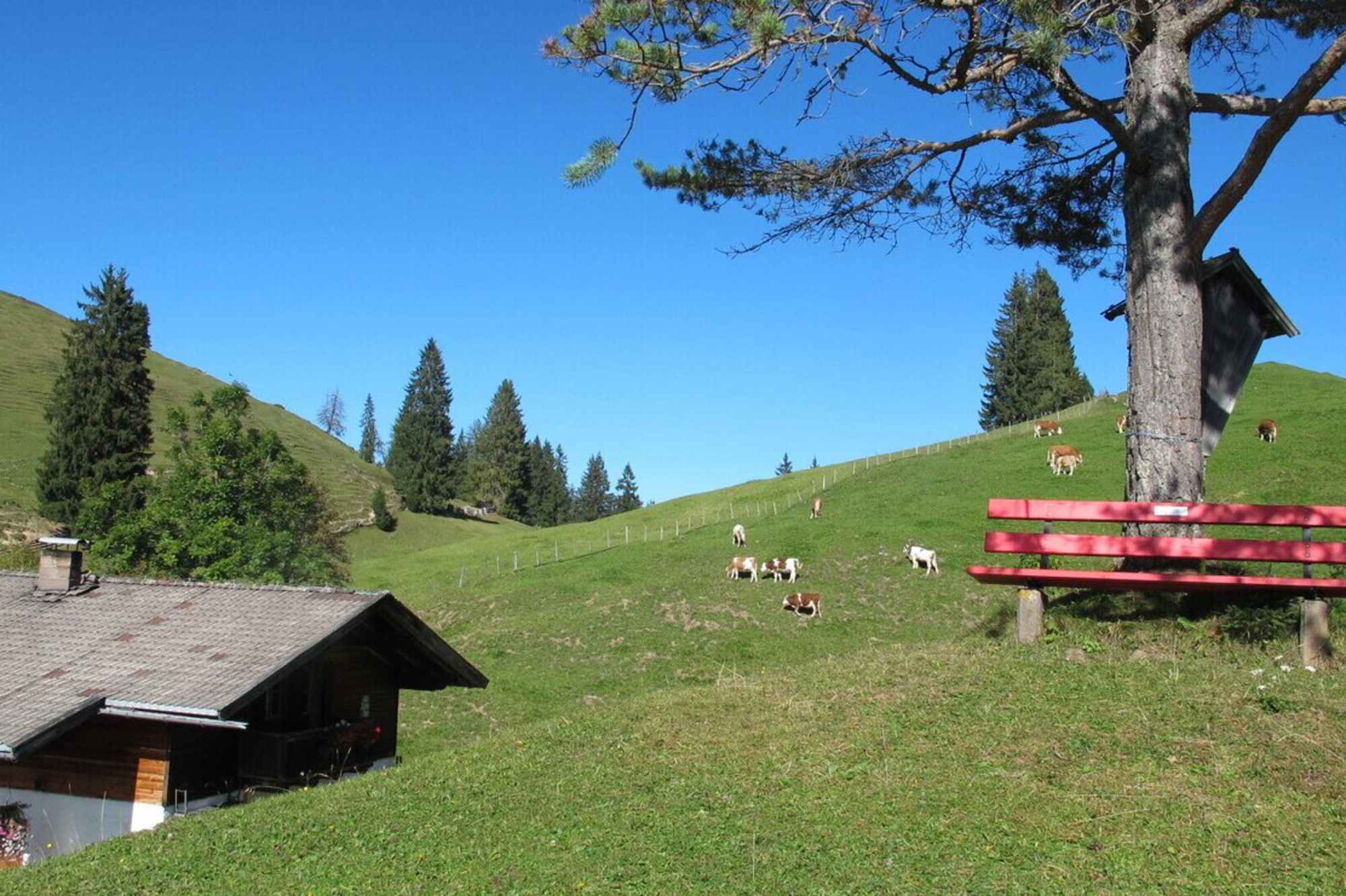 Bankerl auf der Achentalalm