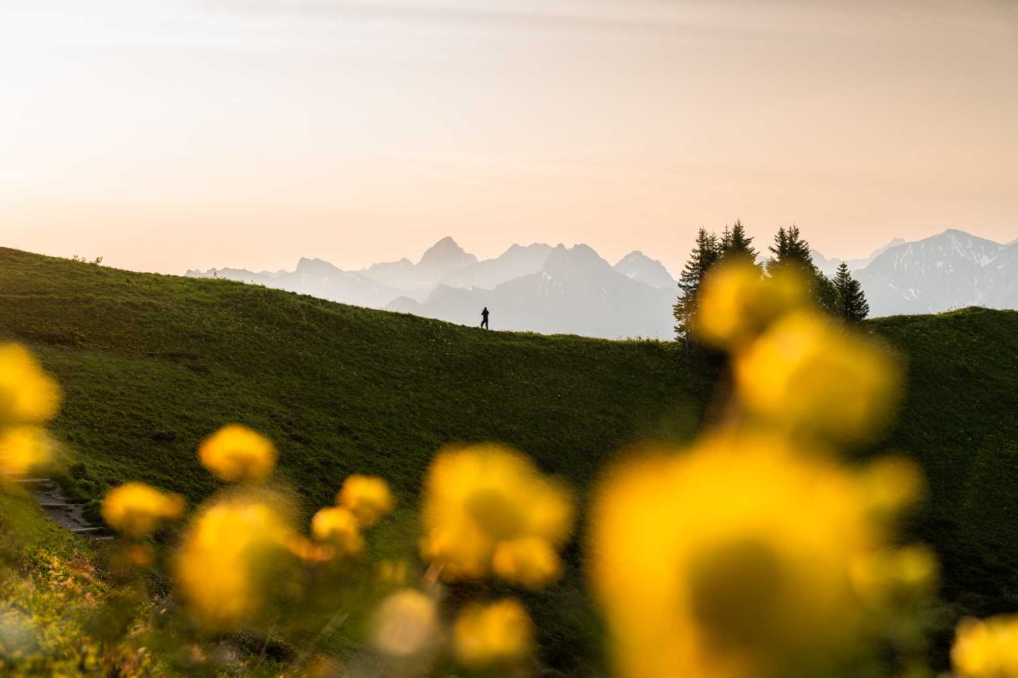 Über den Fellhorngrat