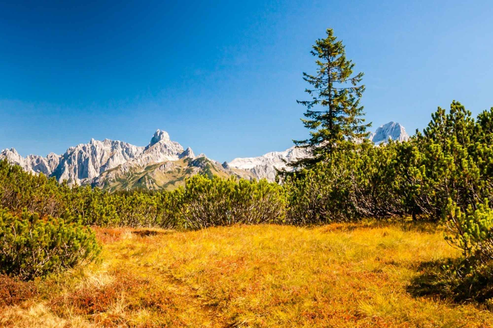 Blick zur Bischofsmütze