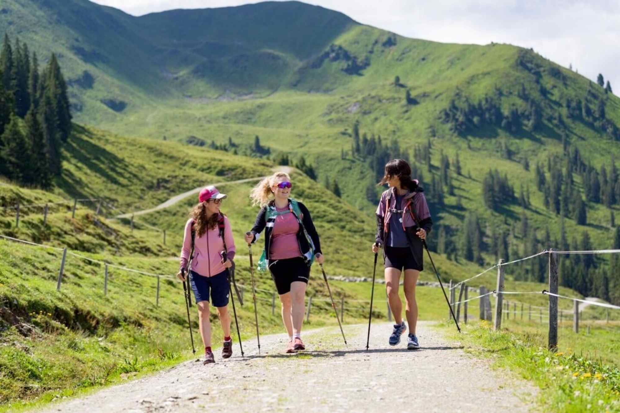 Auf der Breitegger Runde