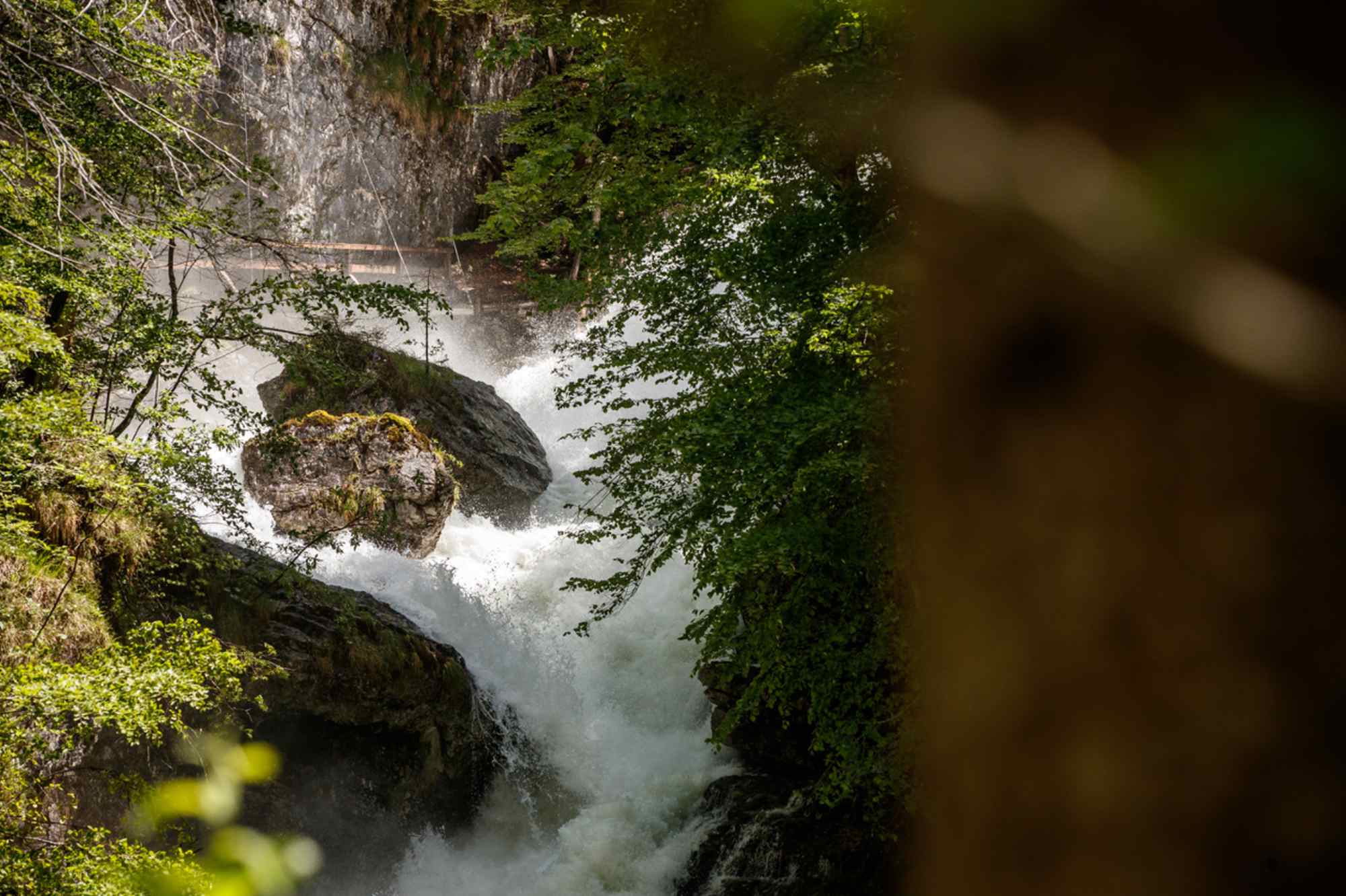 Viel Wasser im Koppental