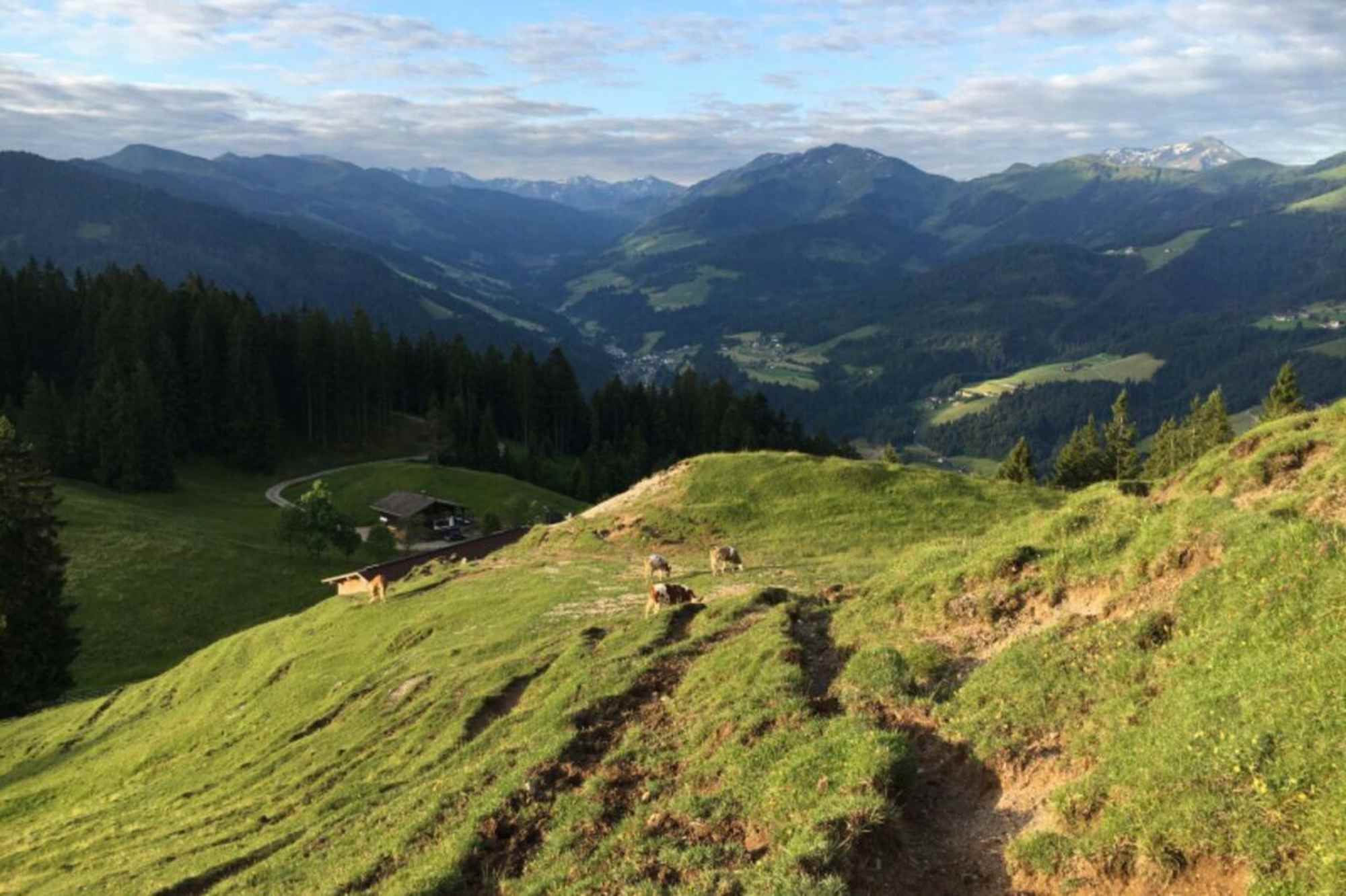 Anstieg Kragenjoch