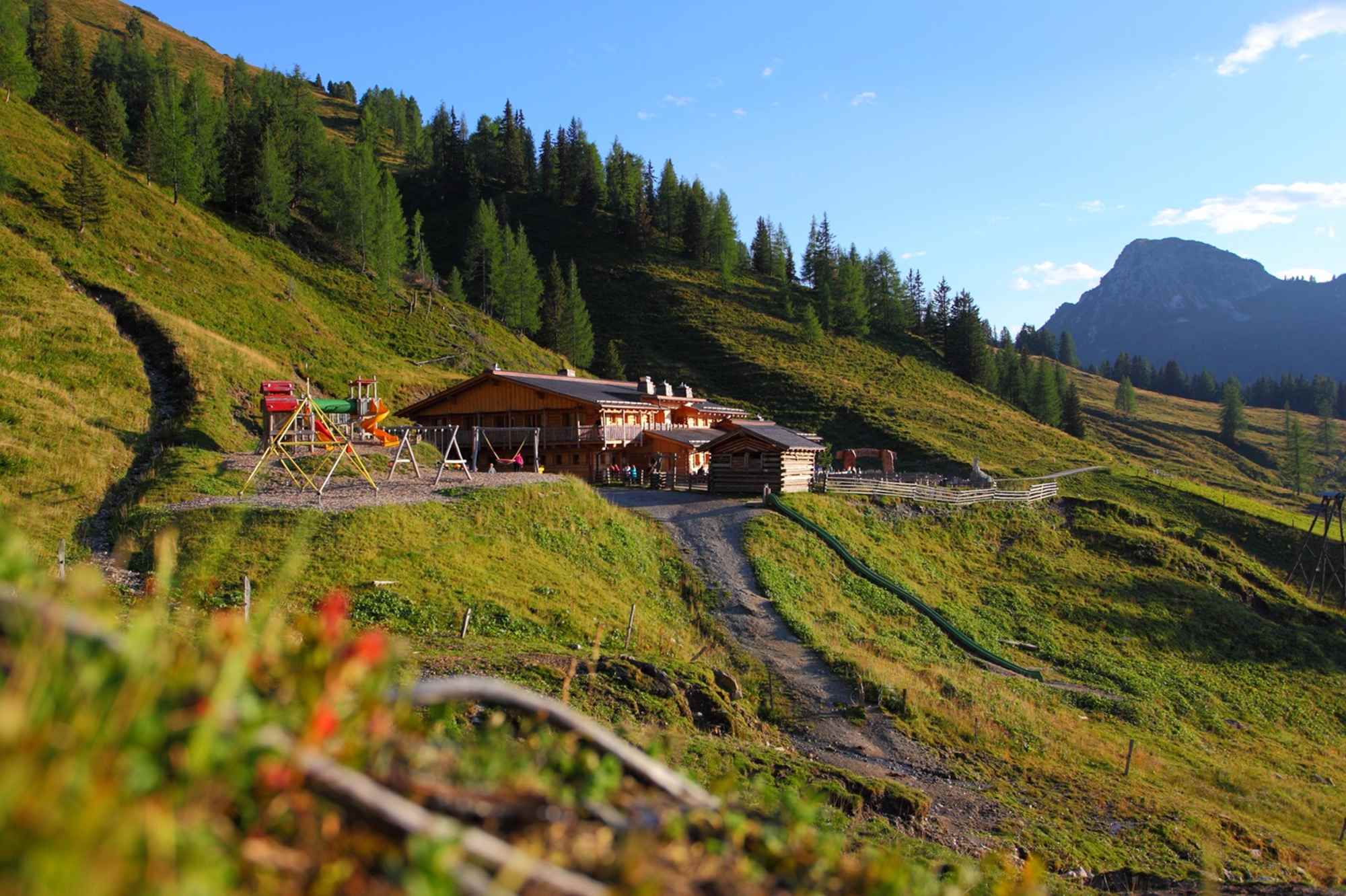 Loosbühelalm, 1.769 m