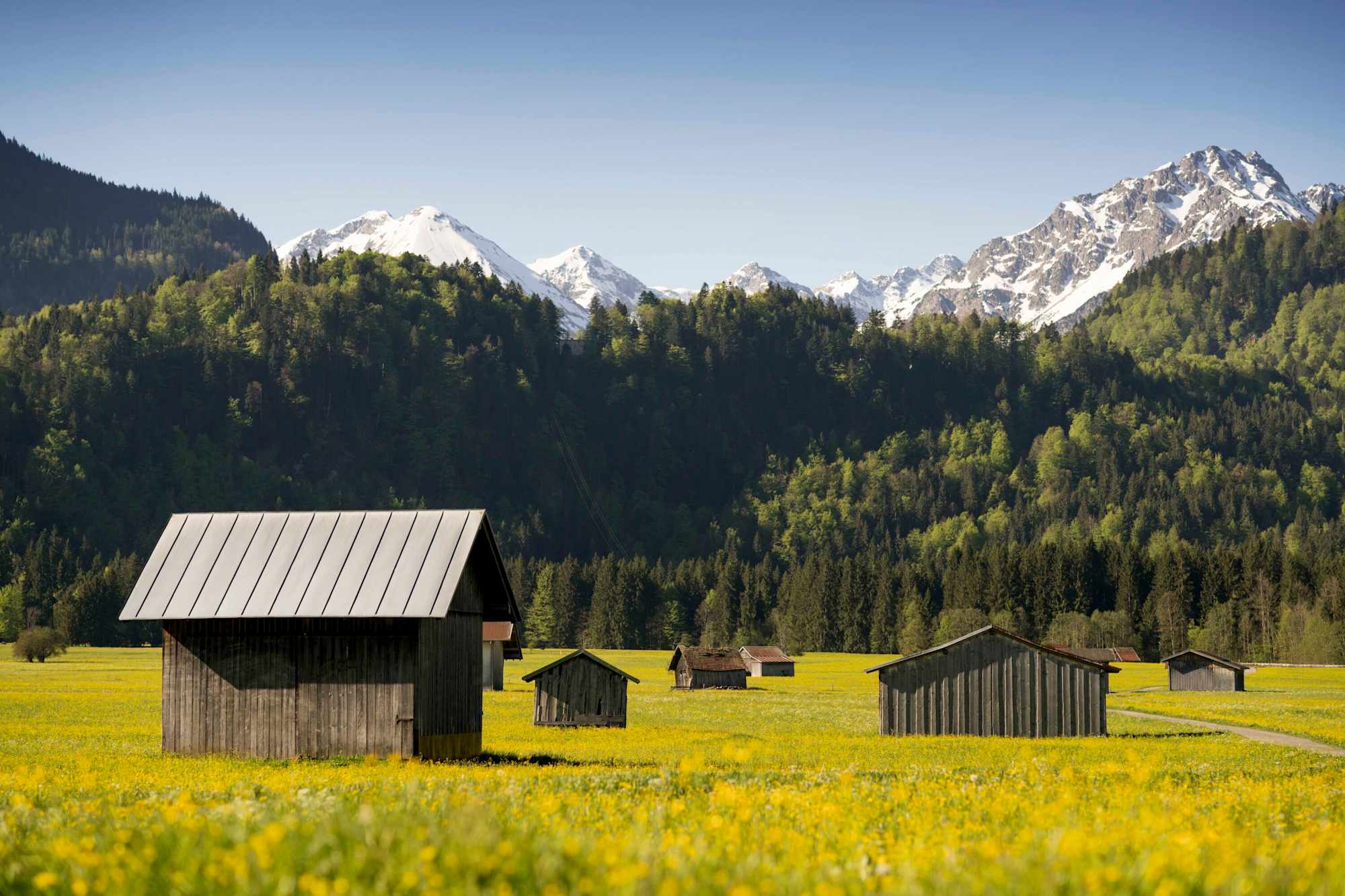 Über die Ötschwiesen geht es gemütlich ins Stillachtal.