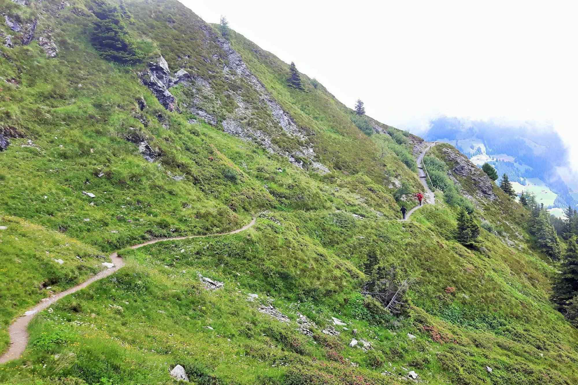 Standkopf Hochstand Blick zum Achensee